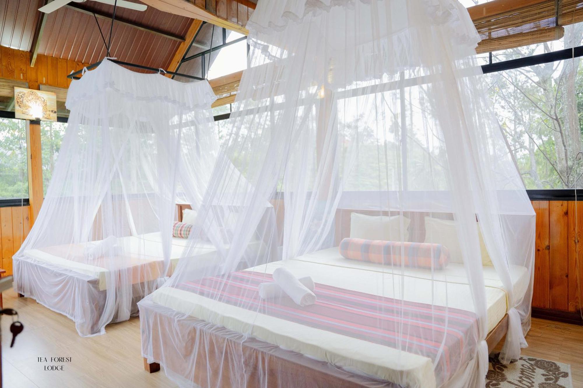 Tea Forest Guest house 2*