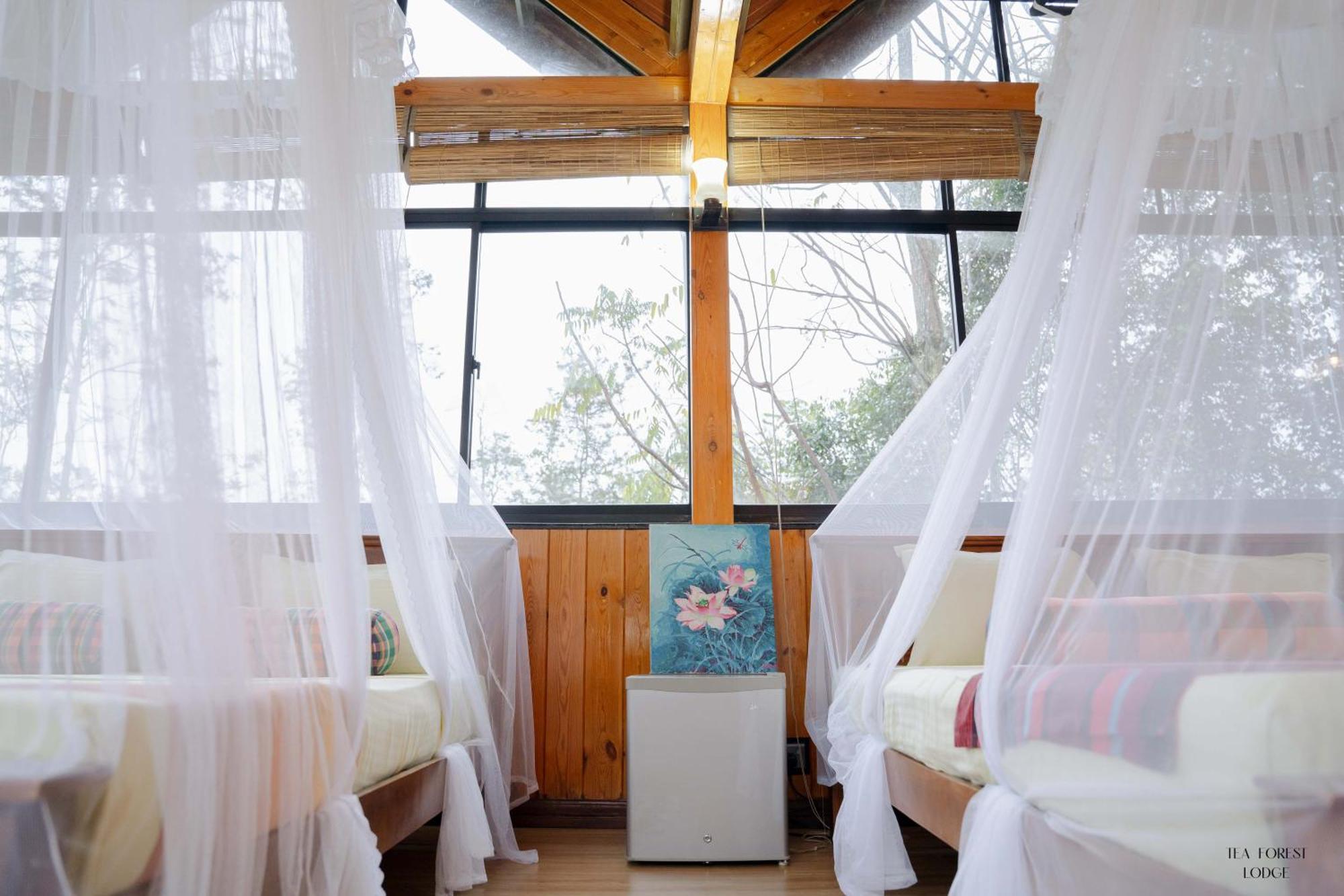 Guest house Tea Forest