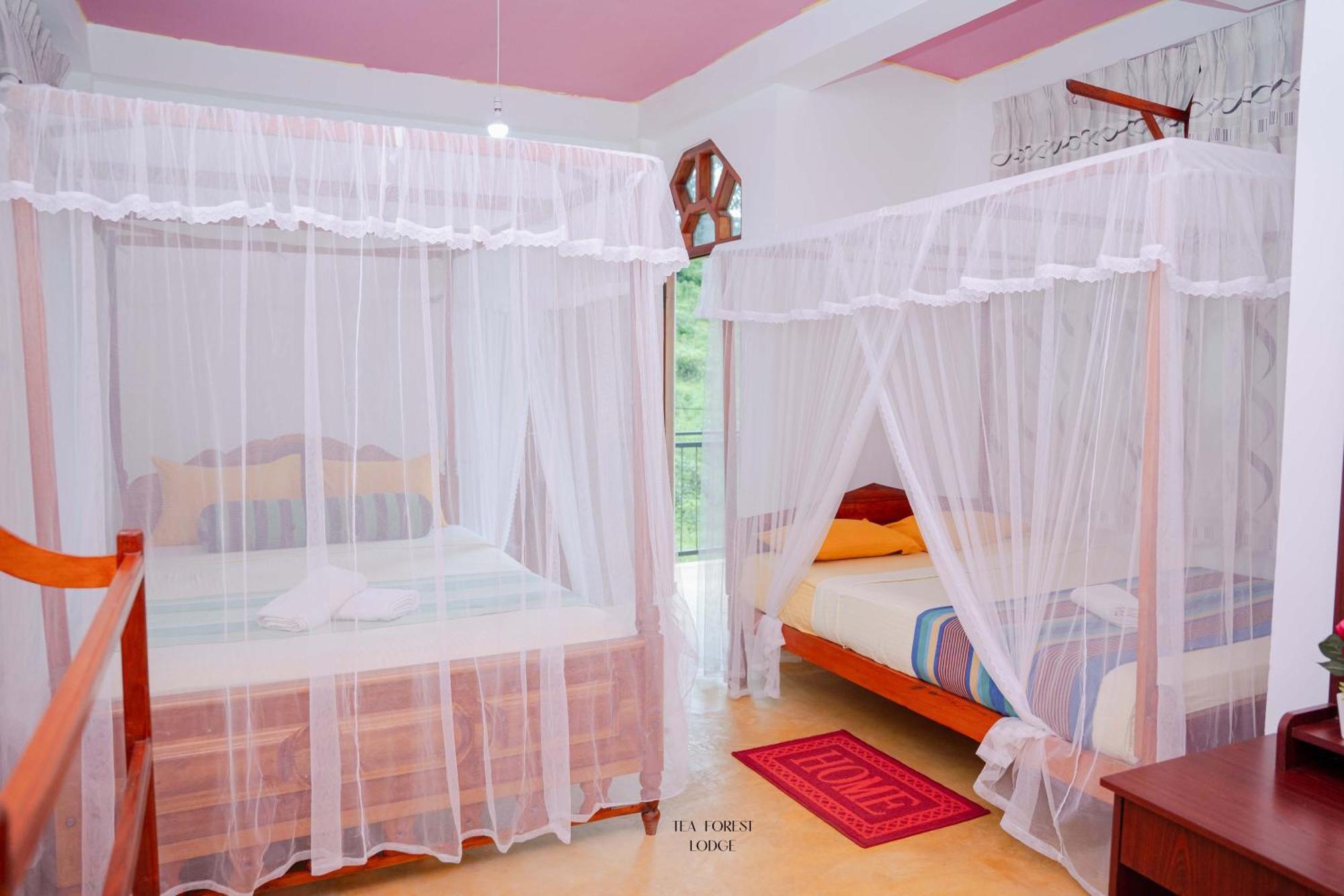 Guest house Tea Forest 2*