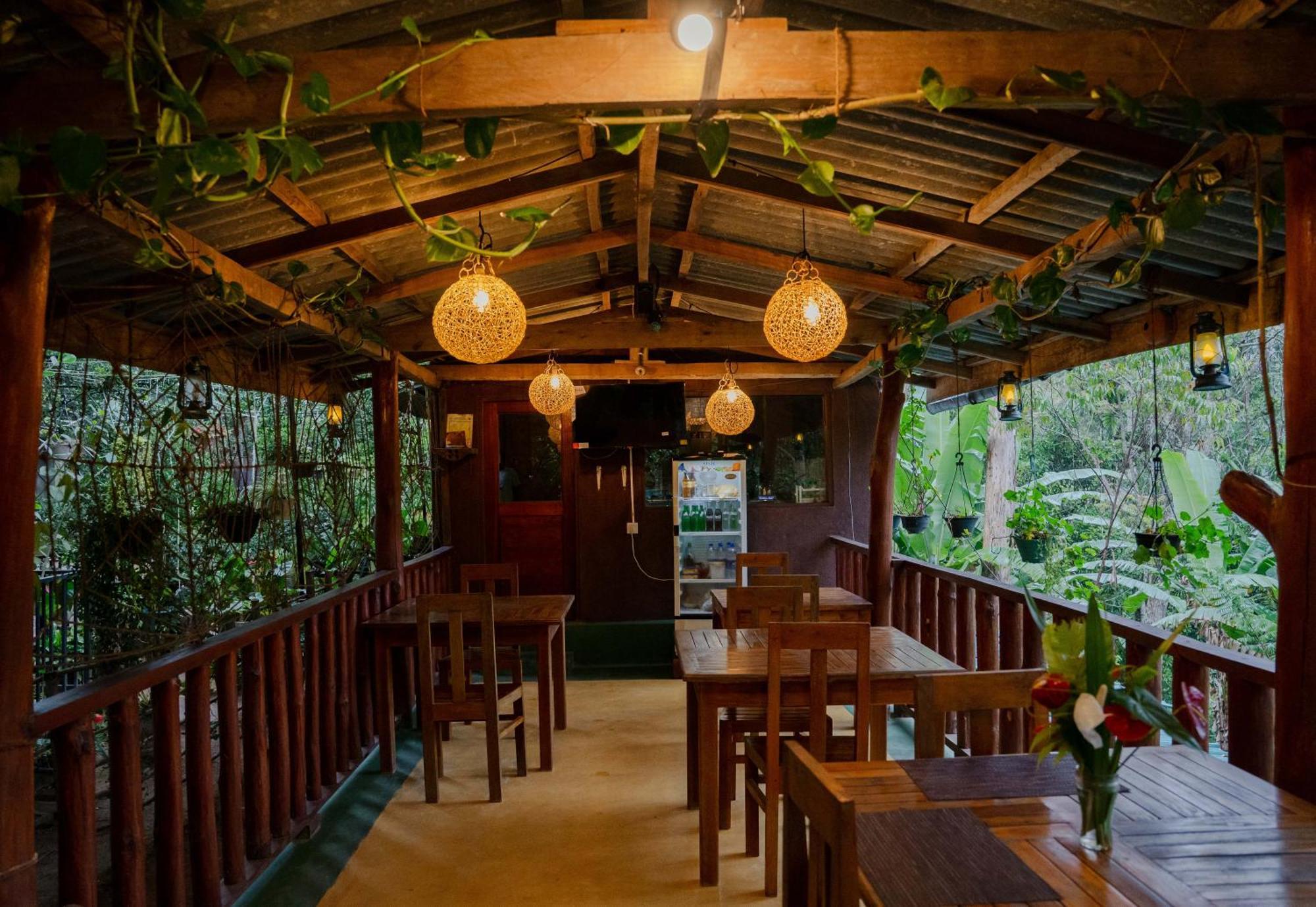 Tea Forest Guest house