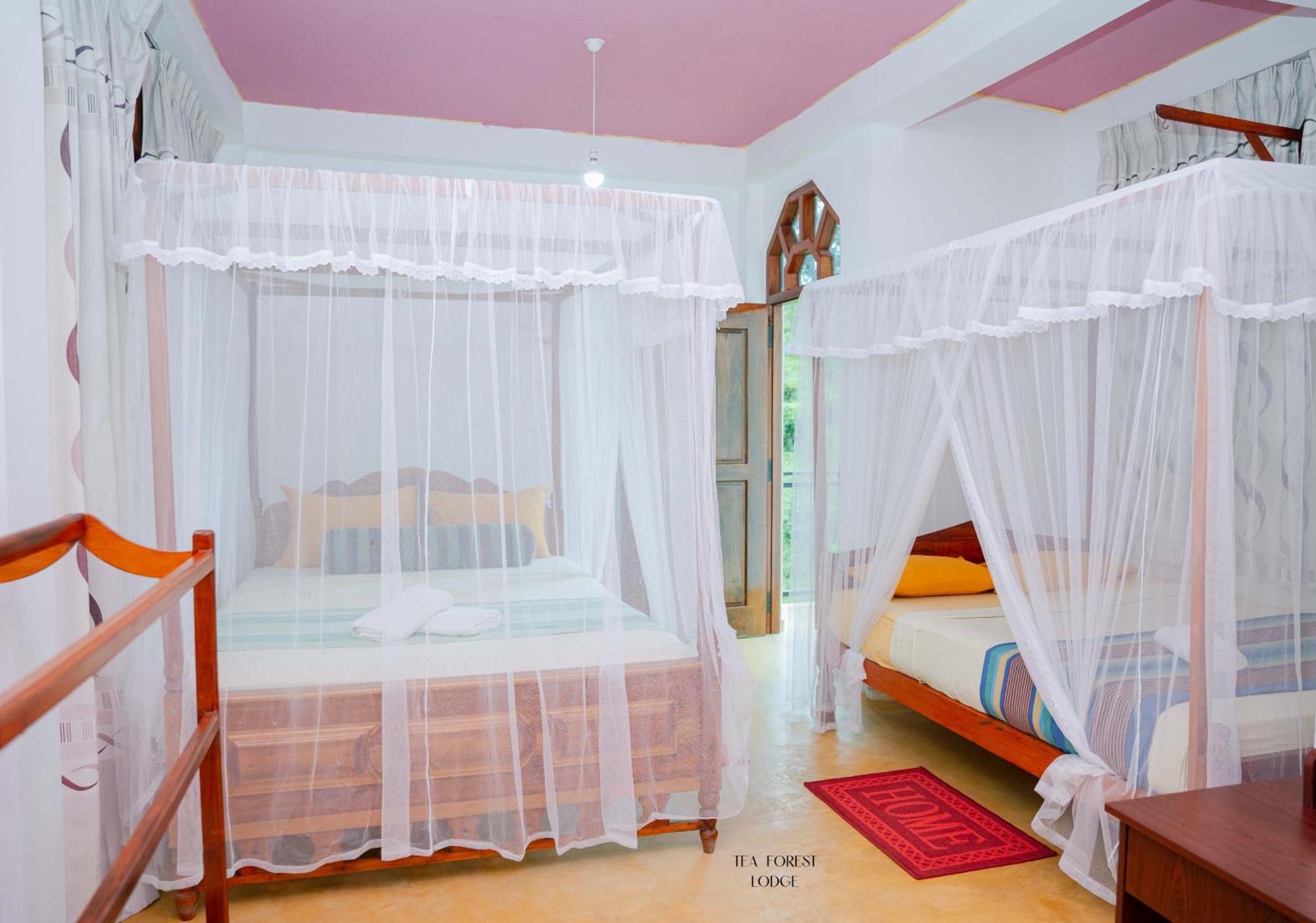 Guest house Tea Forest