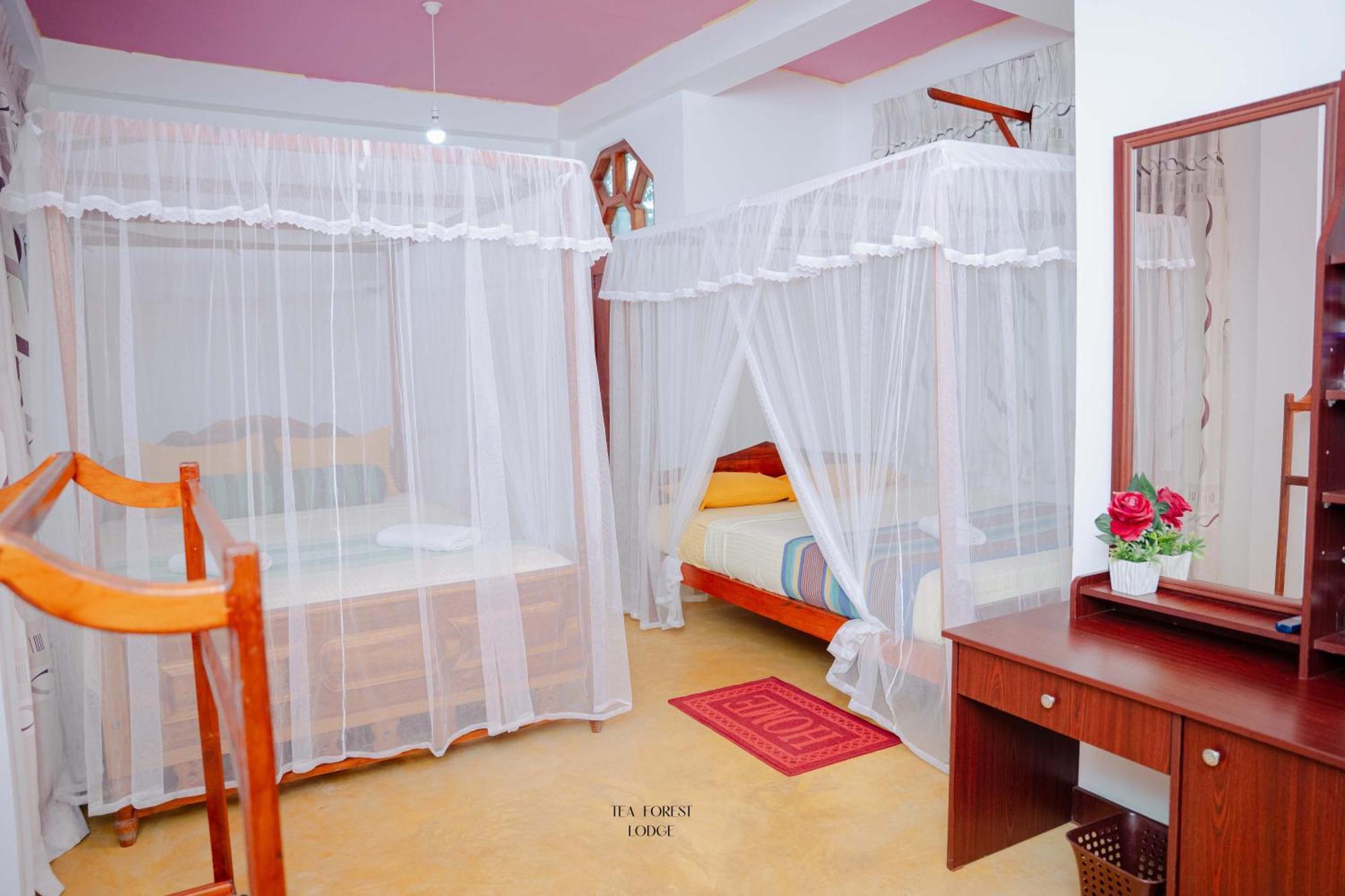 Guest house Tea Forest 2*