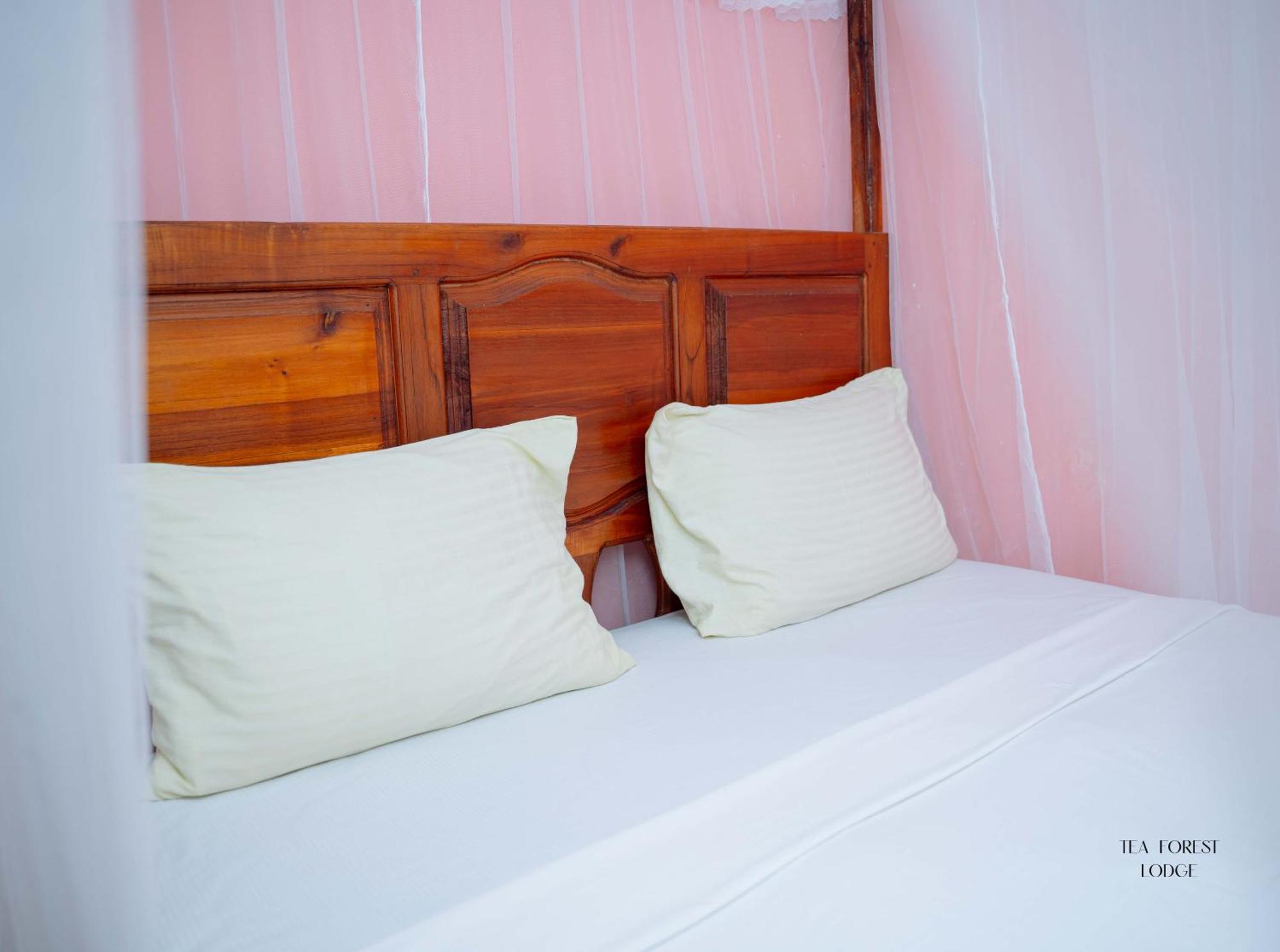 Tea Forest Guest house