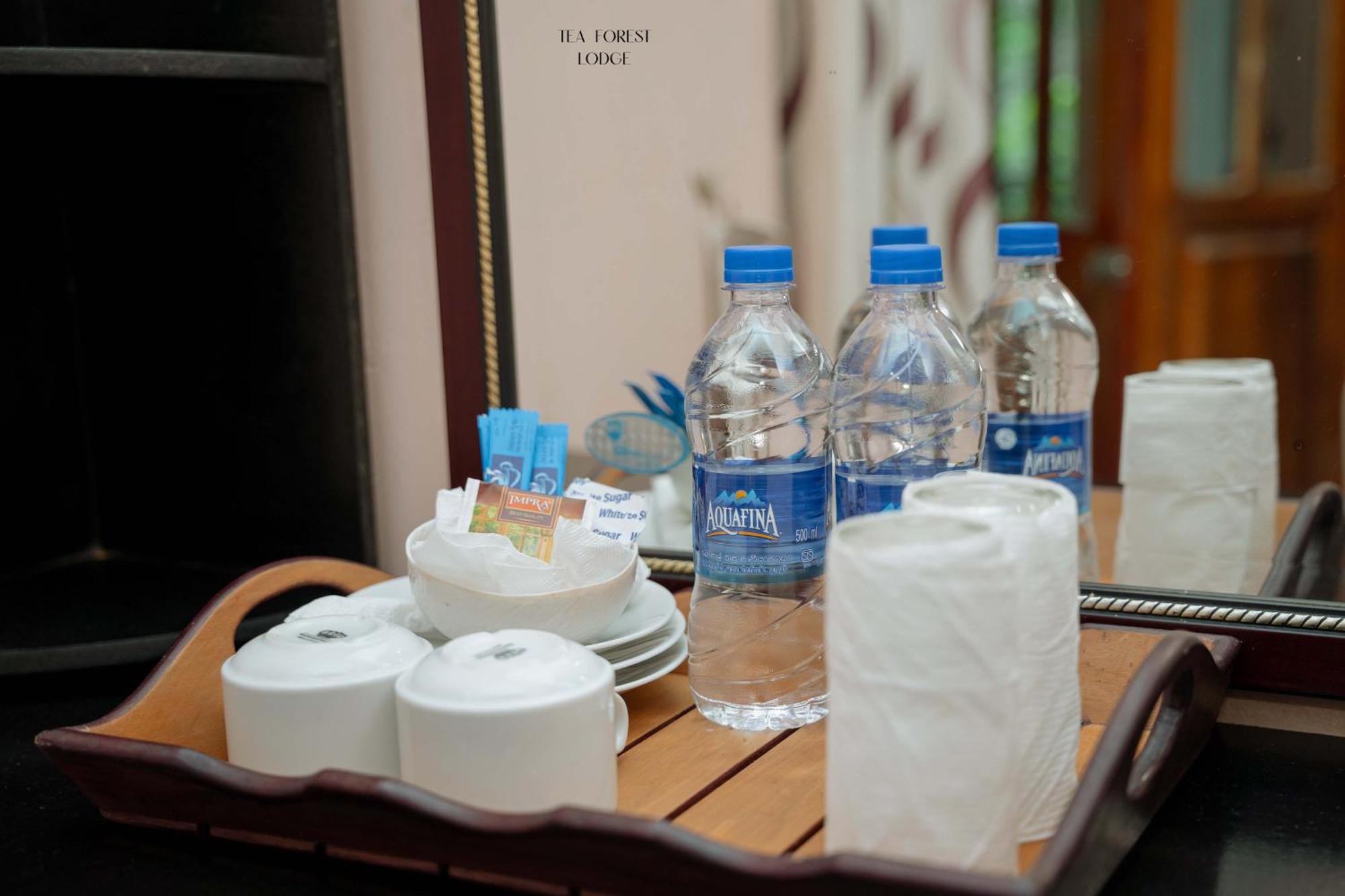 Guest house Tea Forest 2*