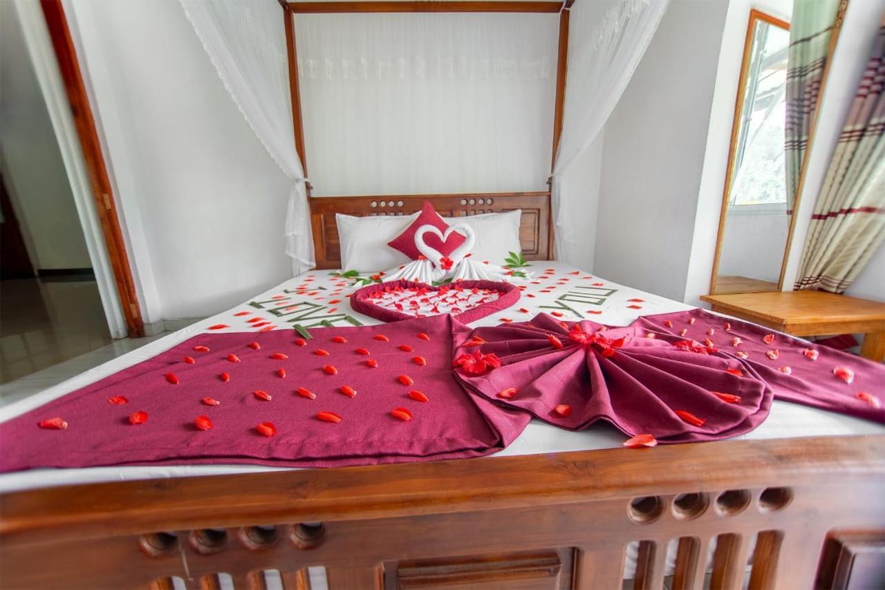 Alp Tourist Guest house *
