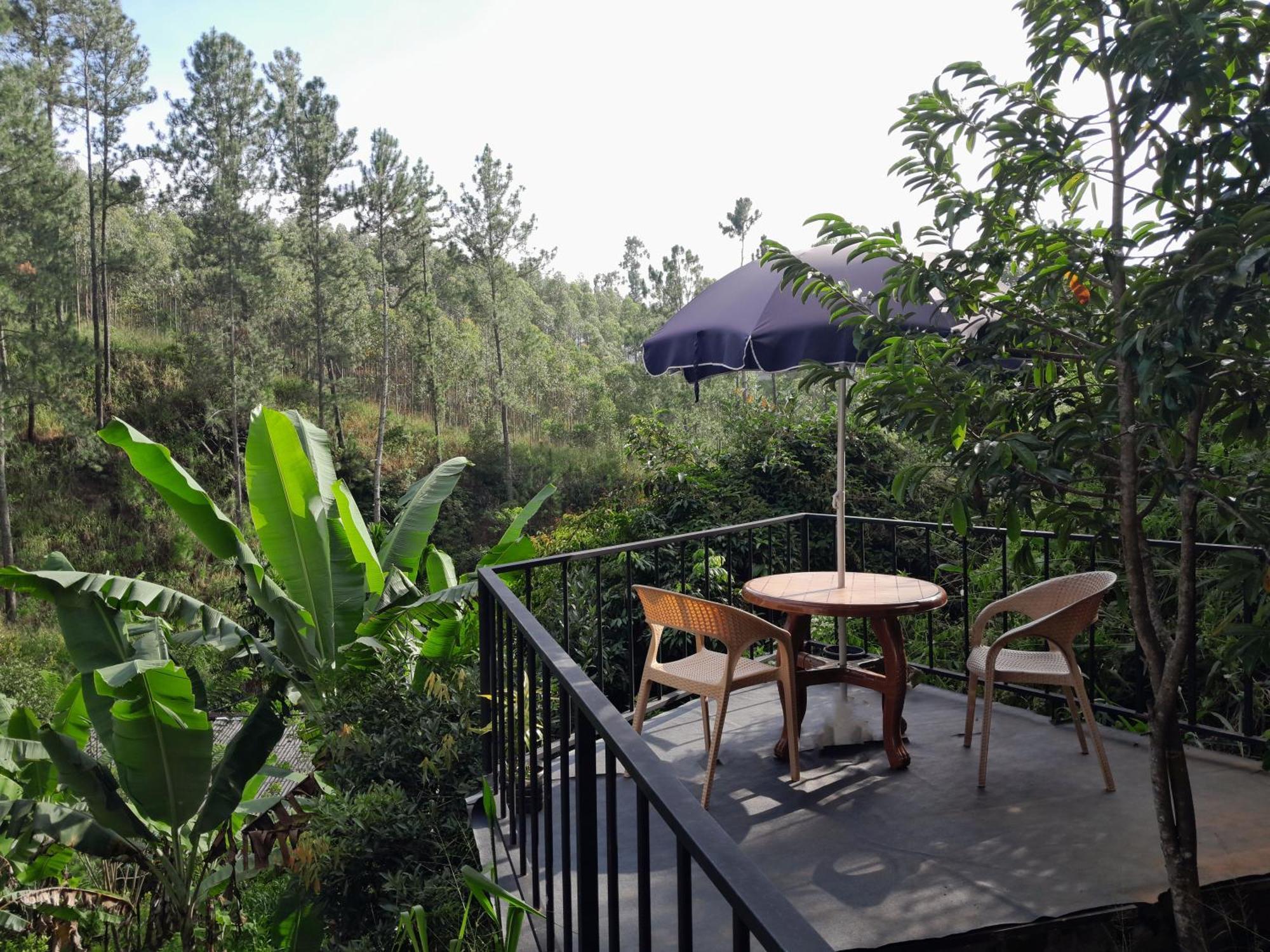 Mount Crest - Guest house