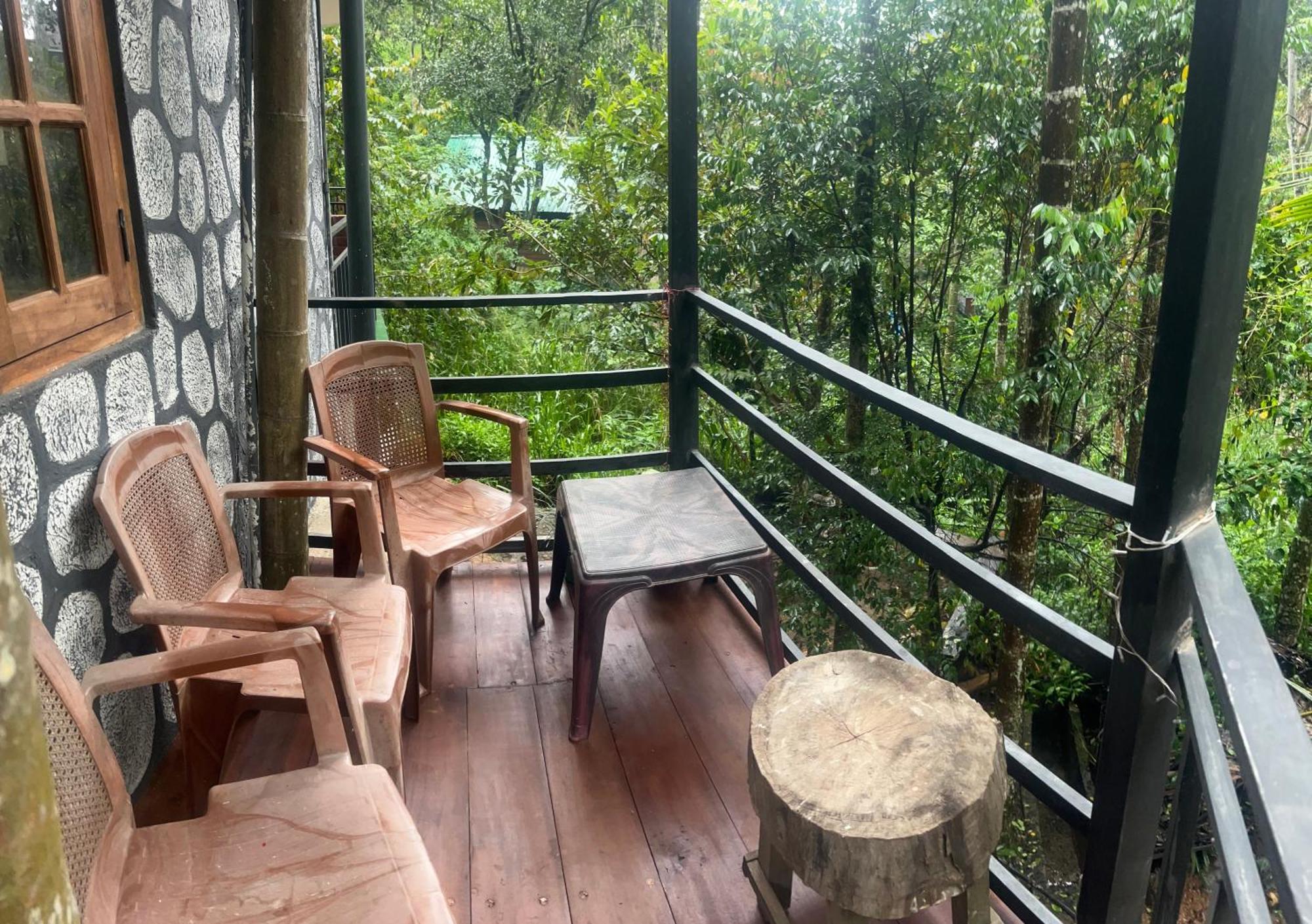 Guest house Mum Jungle