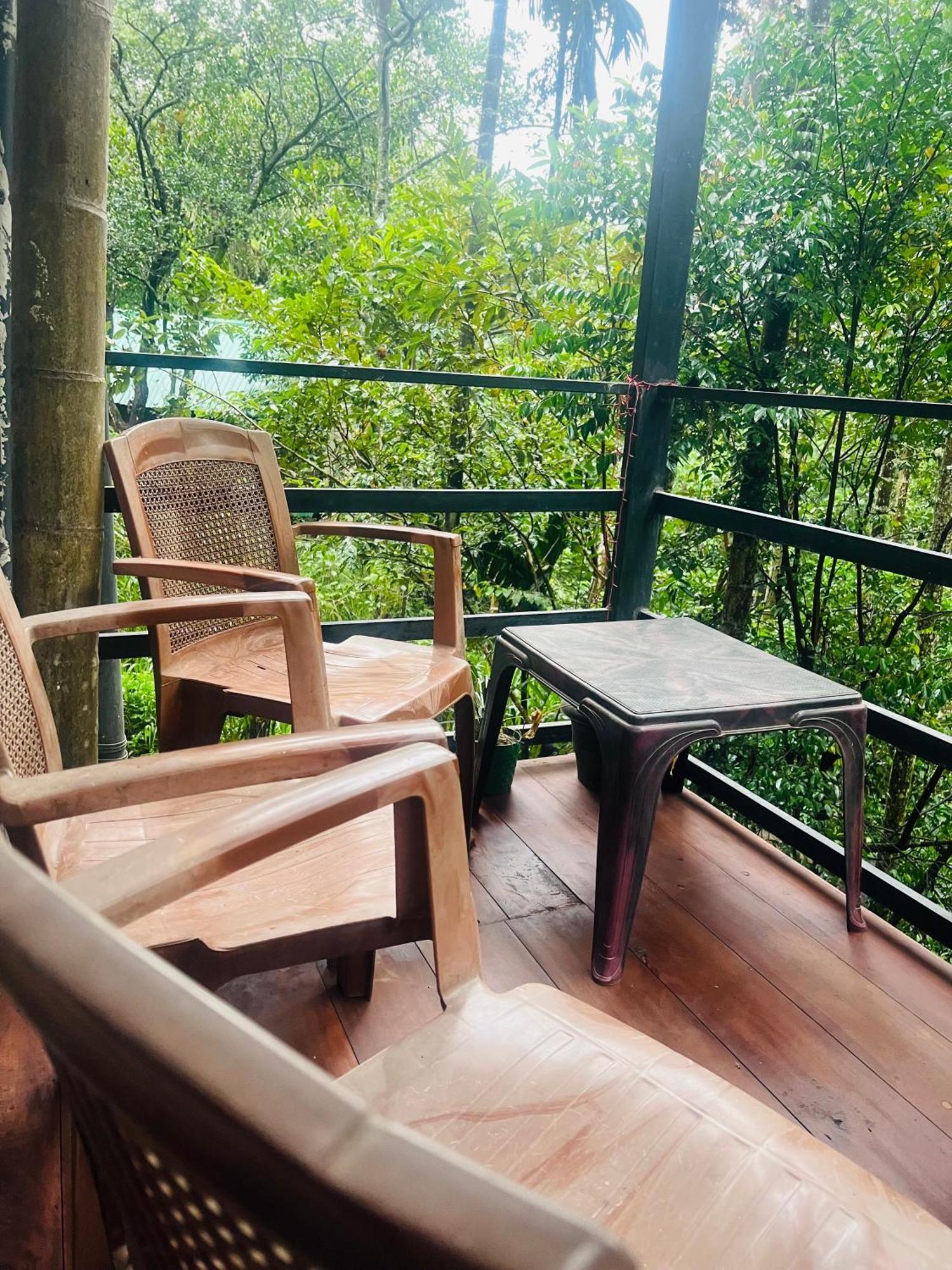 Guest house Mum Jungle *