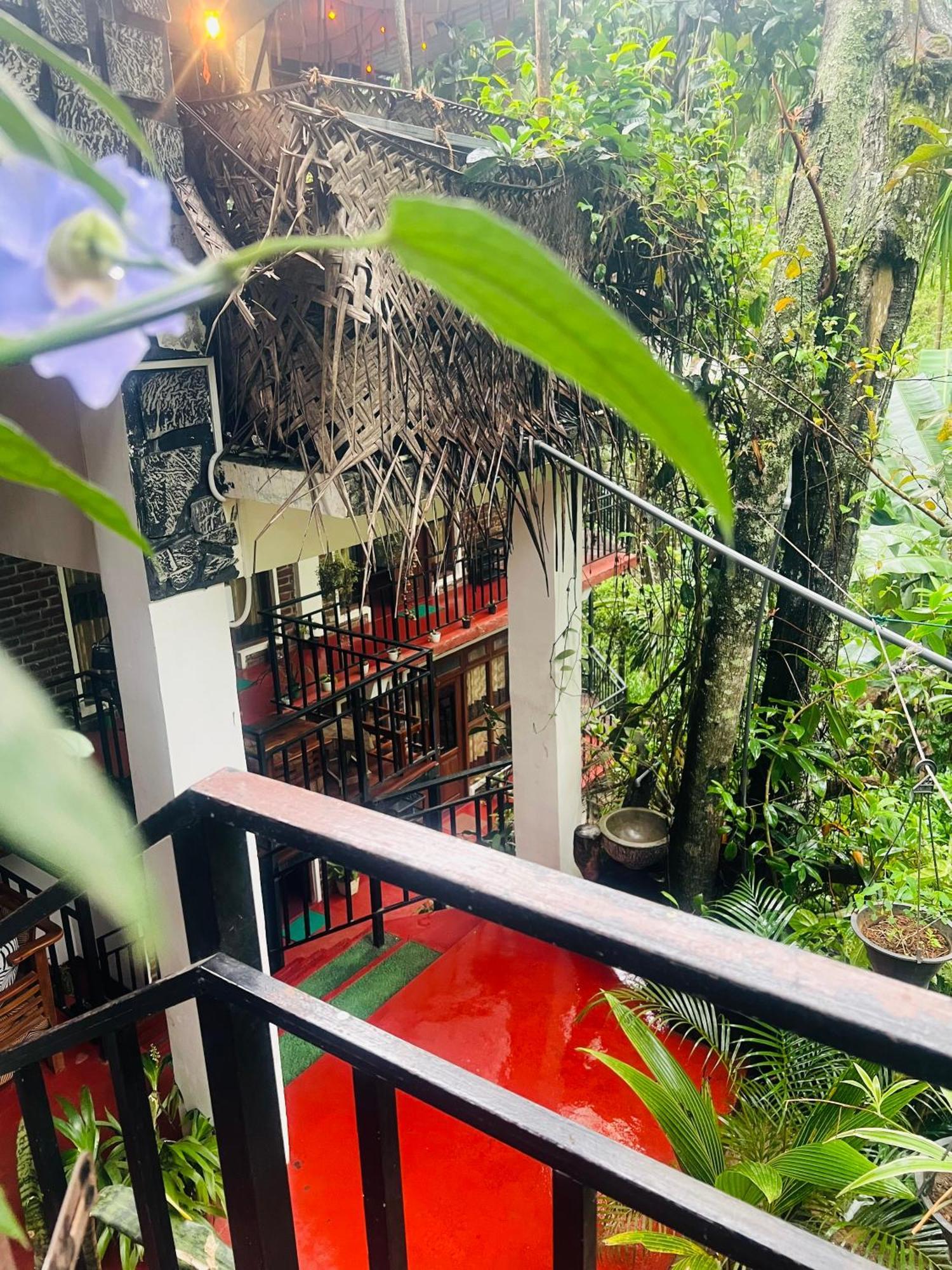 Mum Jungle *