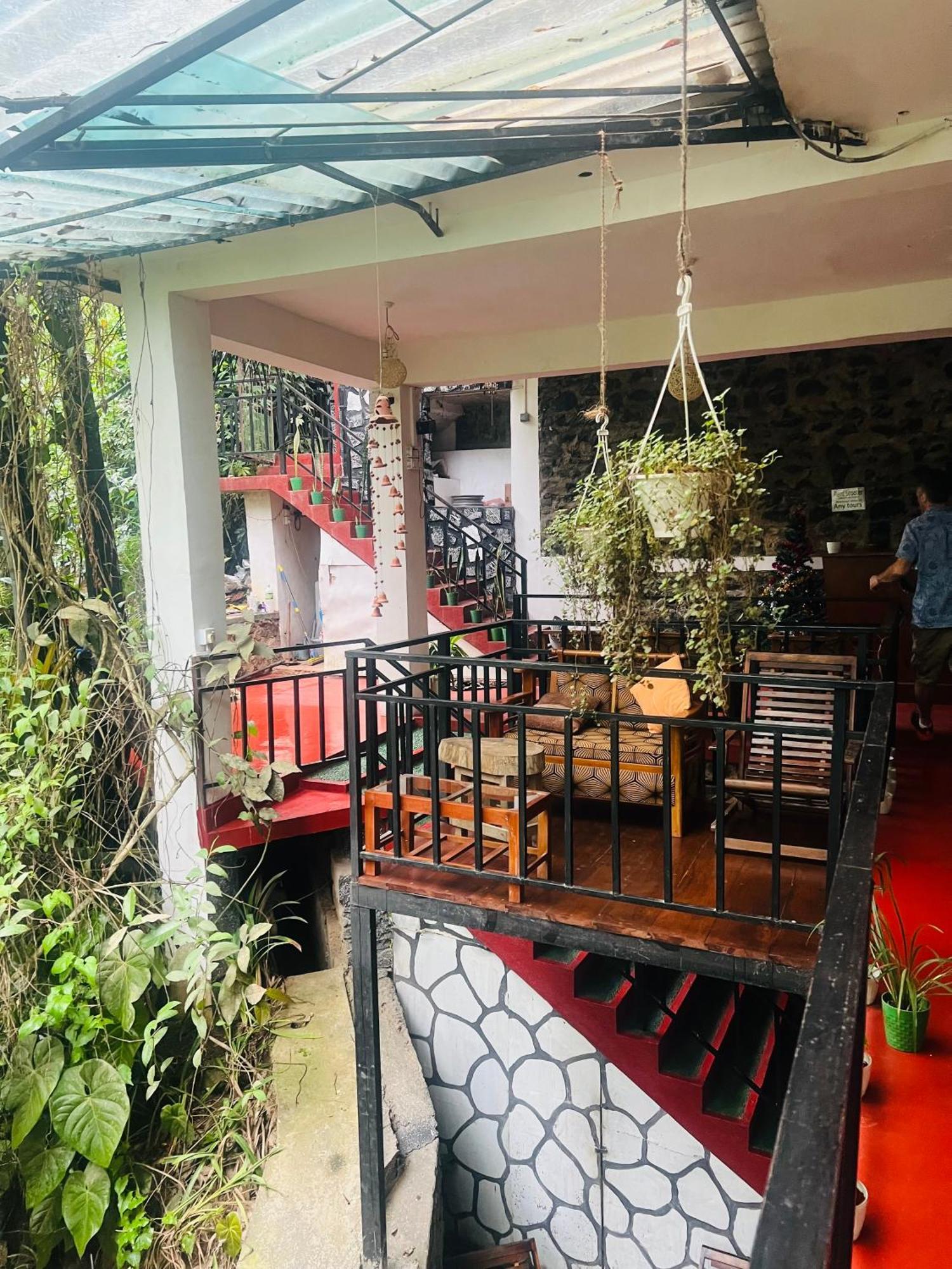 Mum Jungle Guest house