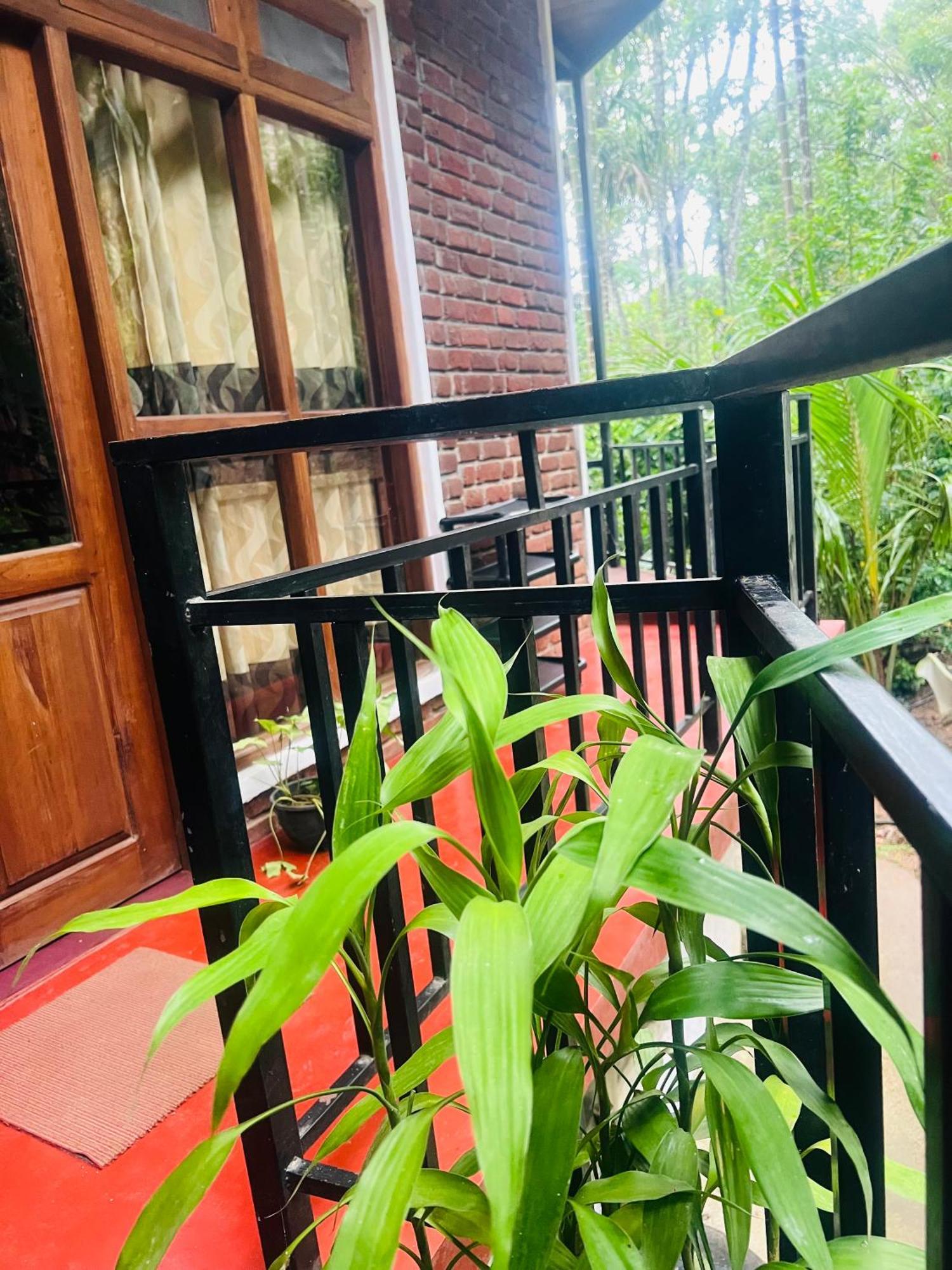 Mum Jungle *
