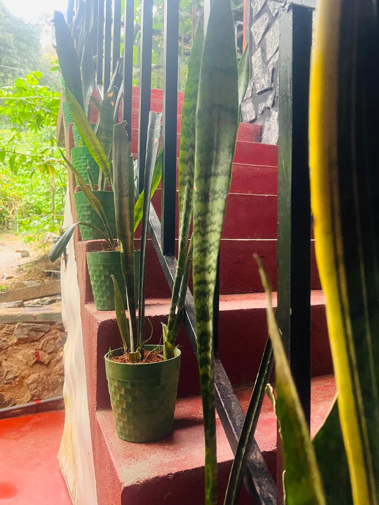 Mum Jungle Ella