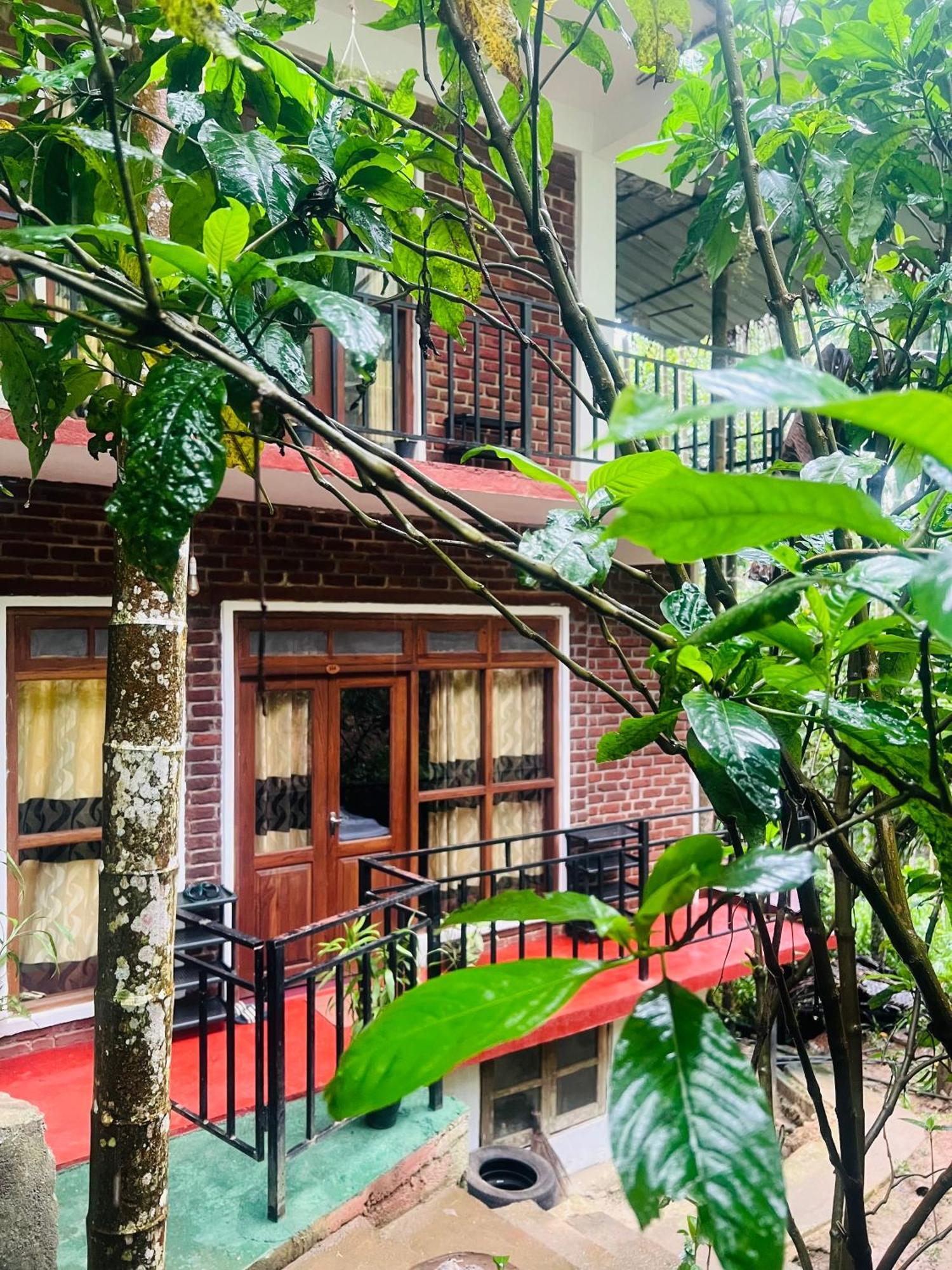 Mum Jungle Guest house