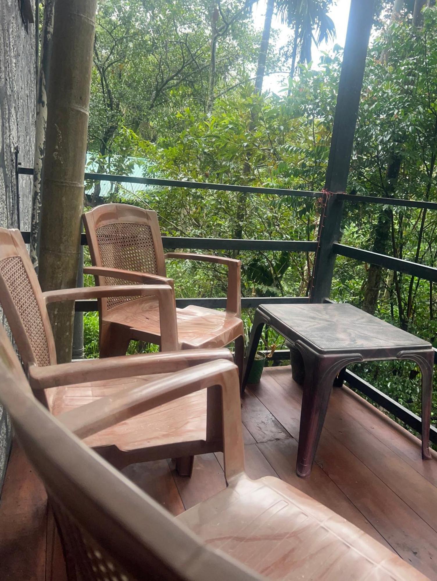Guest house Mum Jungle