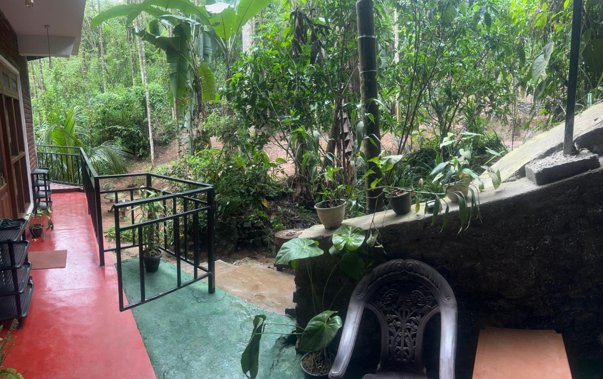 Guest house Mum Jungle *