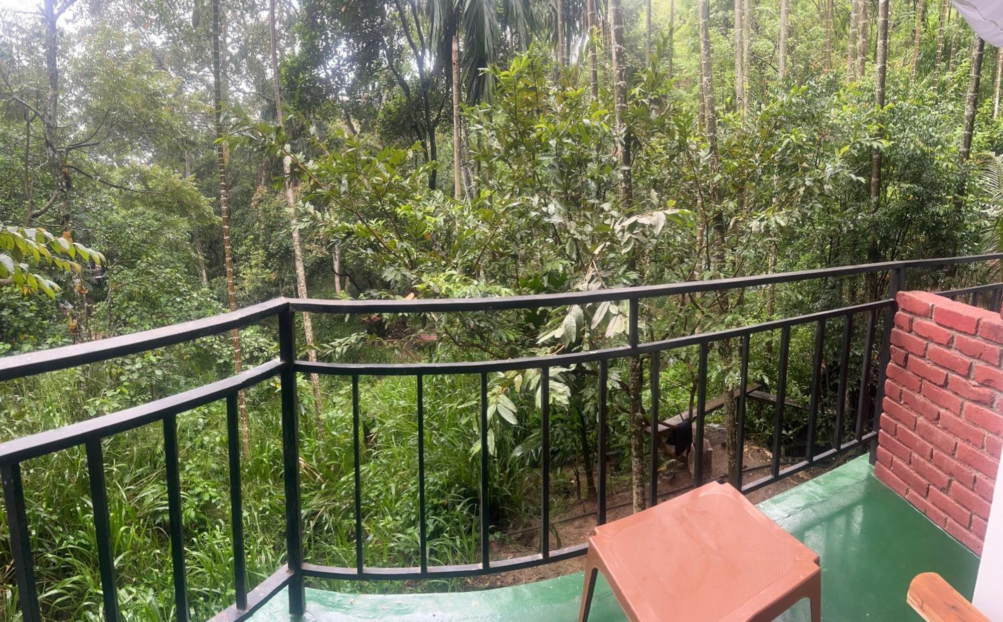 Guest house Mum Jungle