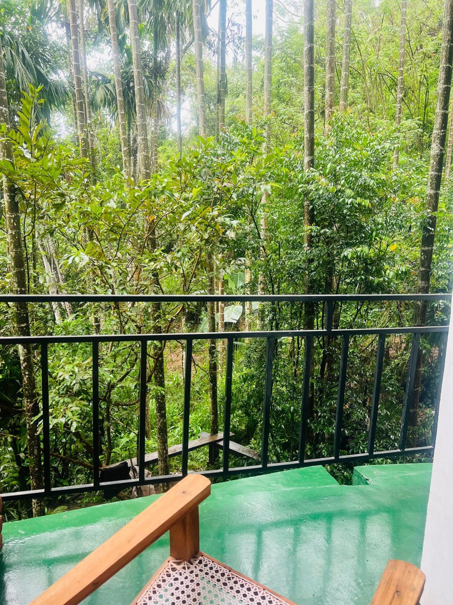 Guest house Mum Jungle