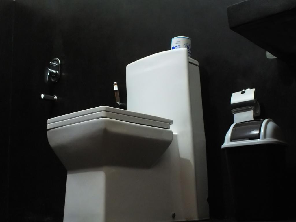 Guest house Monarch 3*