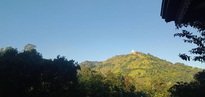 Mountain Vista *