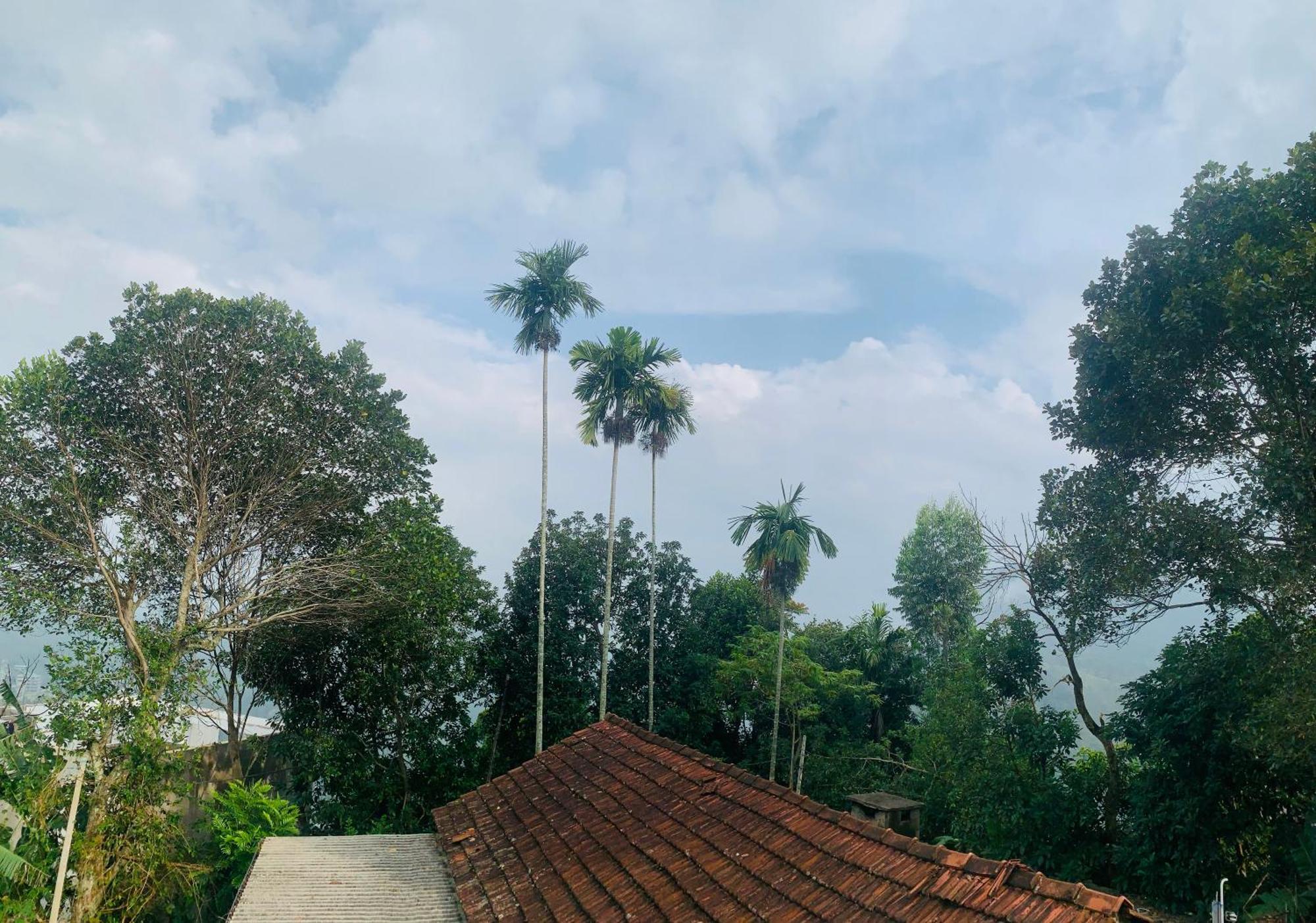 Homestay Broad View