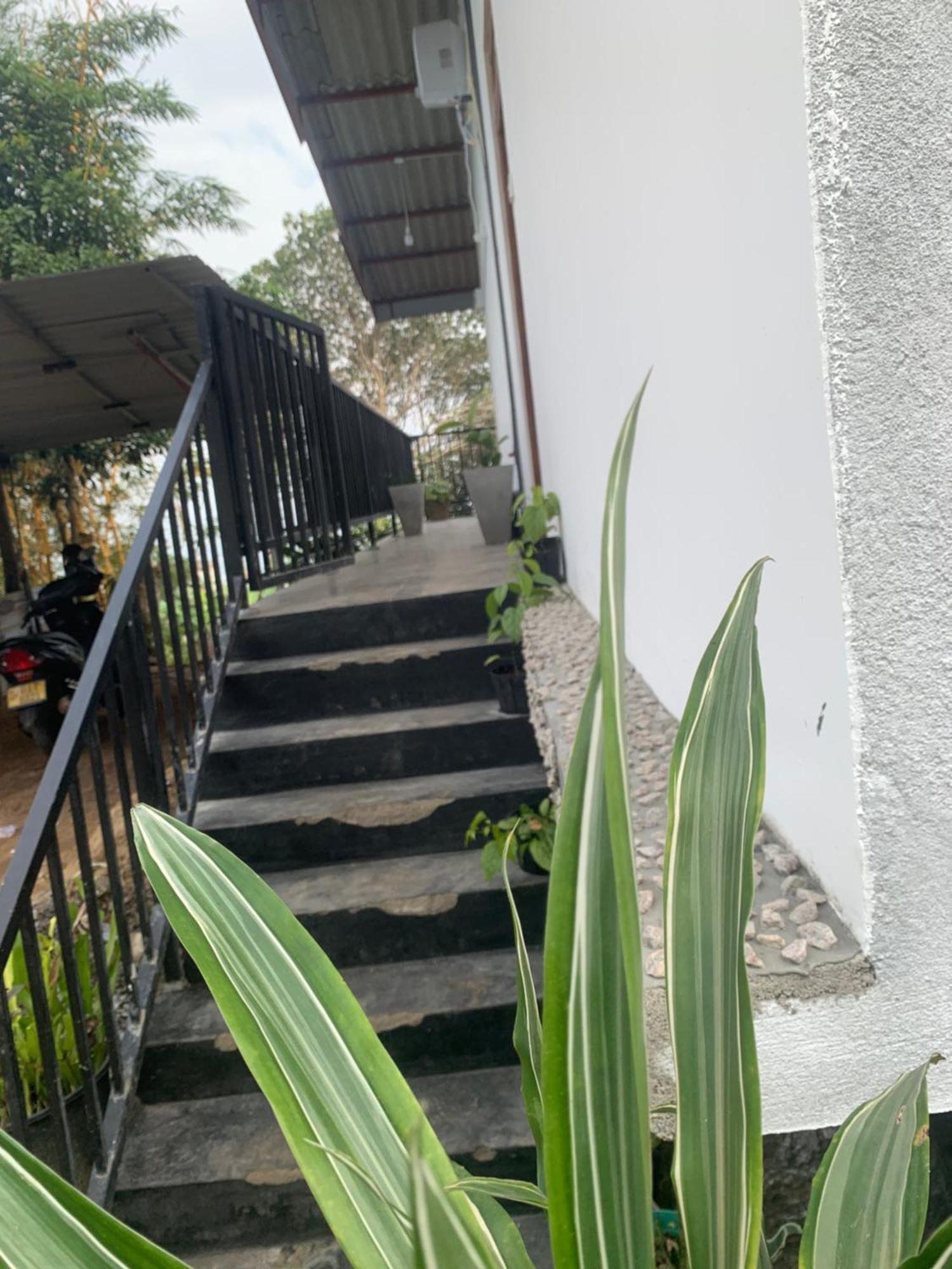 Broad View Homestay *