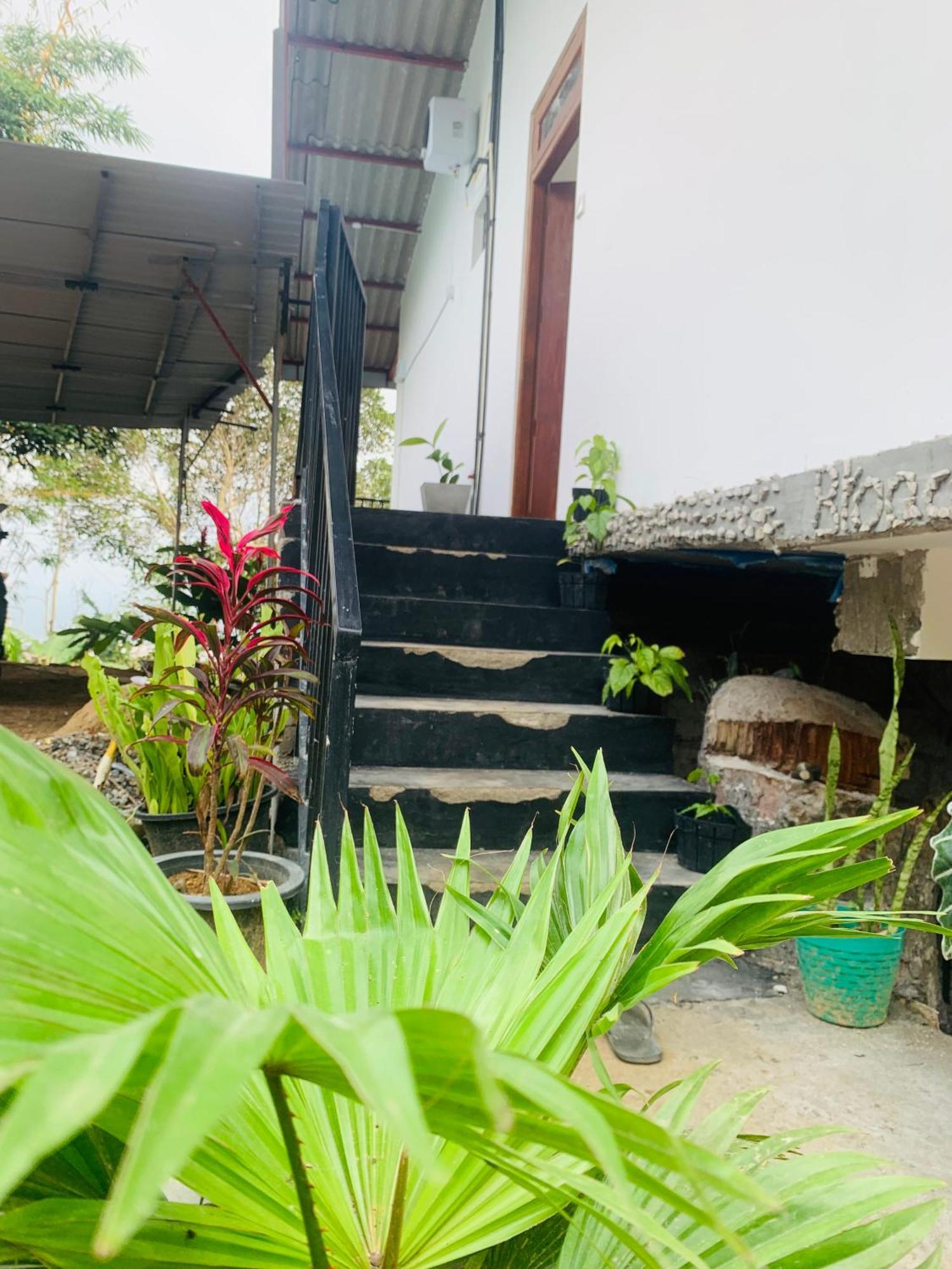 Homestay Broad View *