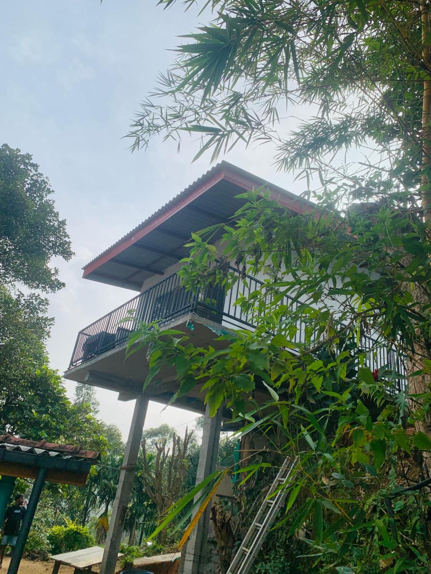 Broad View Homestay *