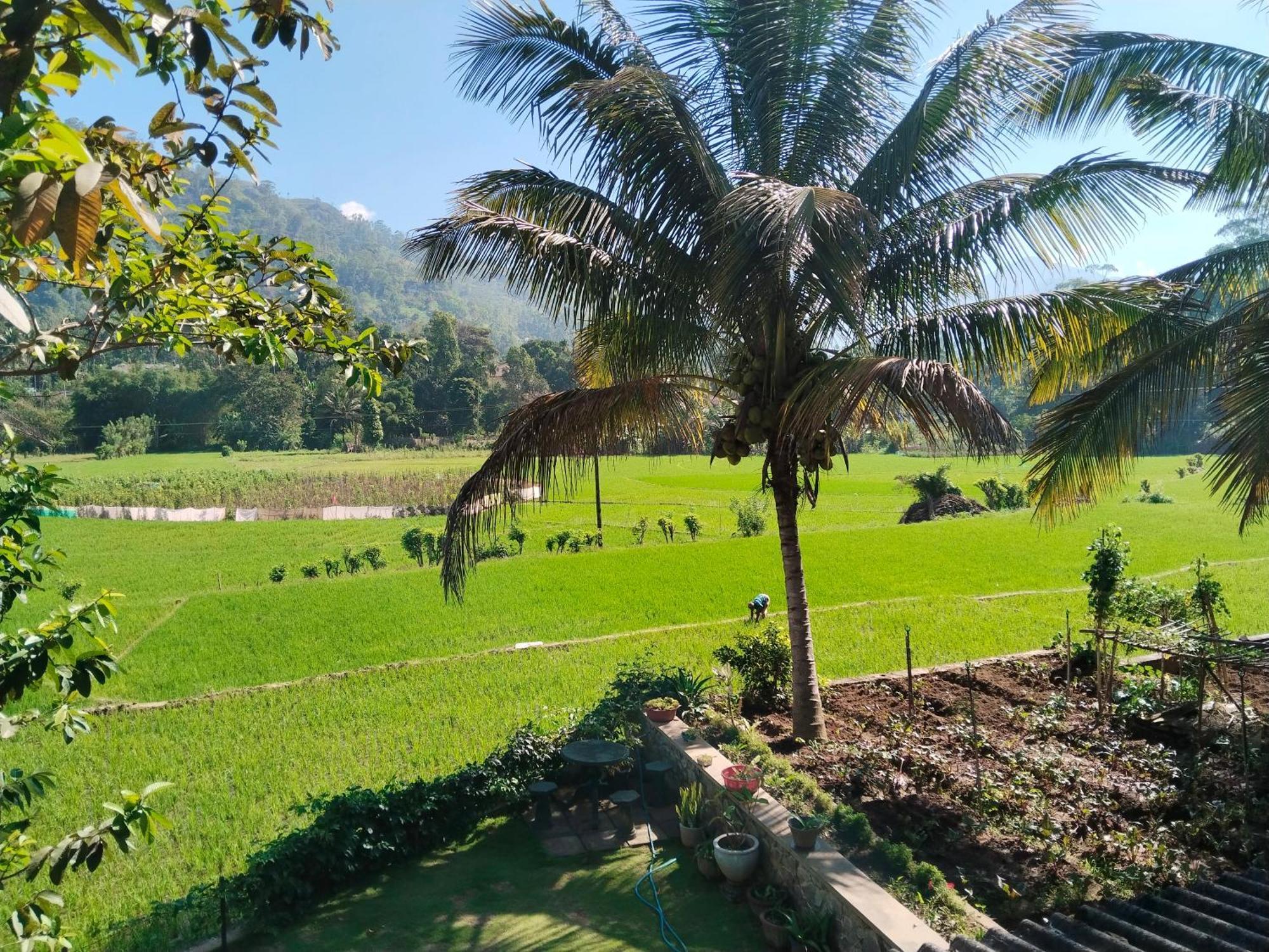 Nature Valley Homestay *