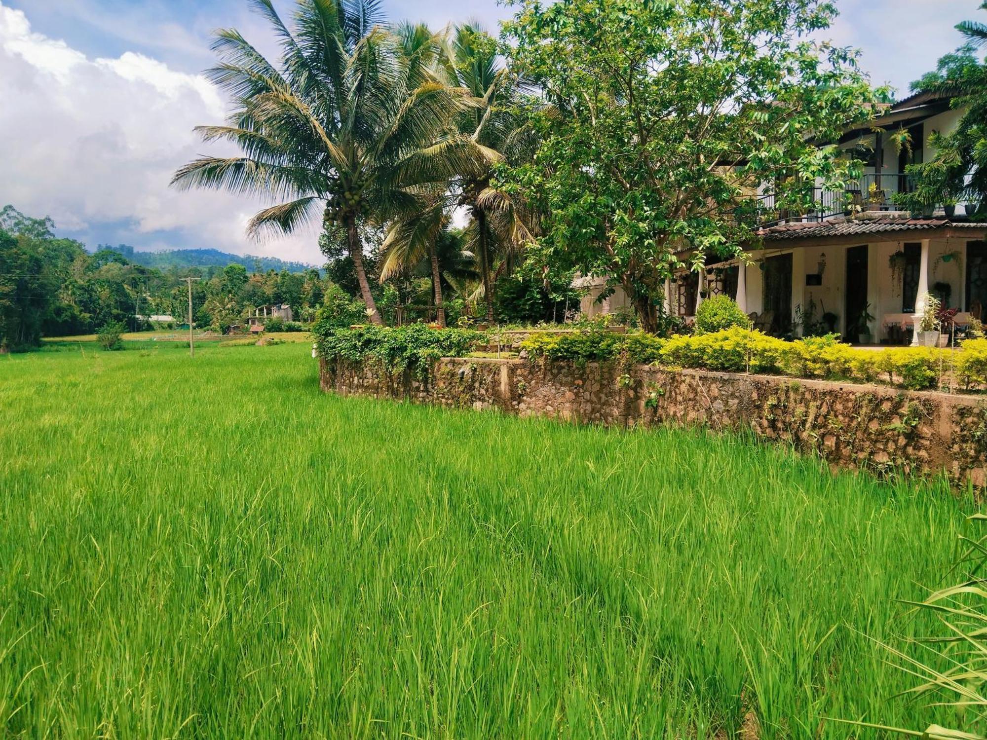 Homestay Nature Valley *
