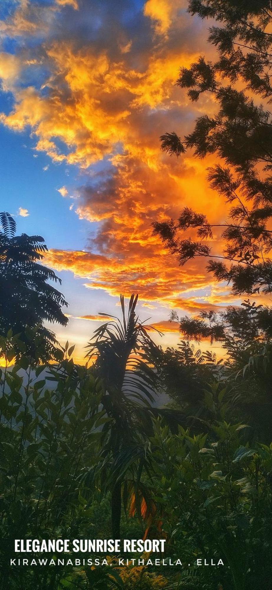 Elegance Sunrise Ella