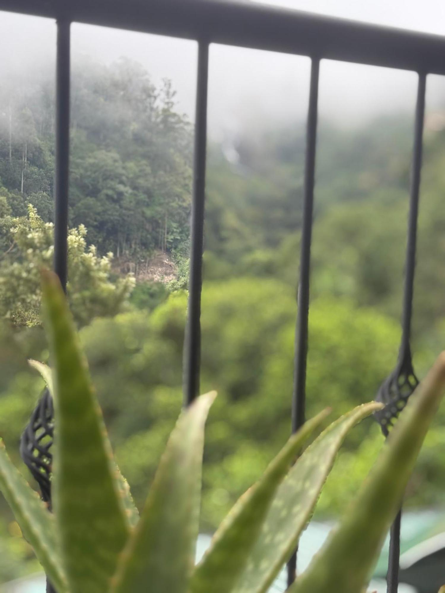 Rawana View