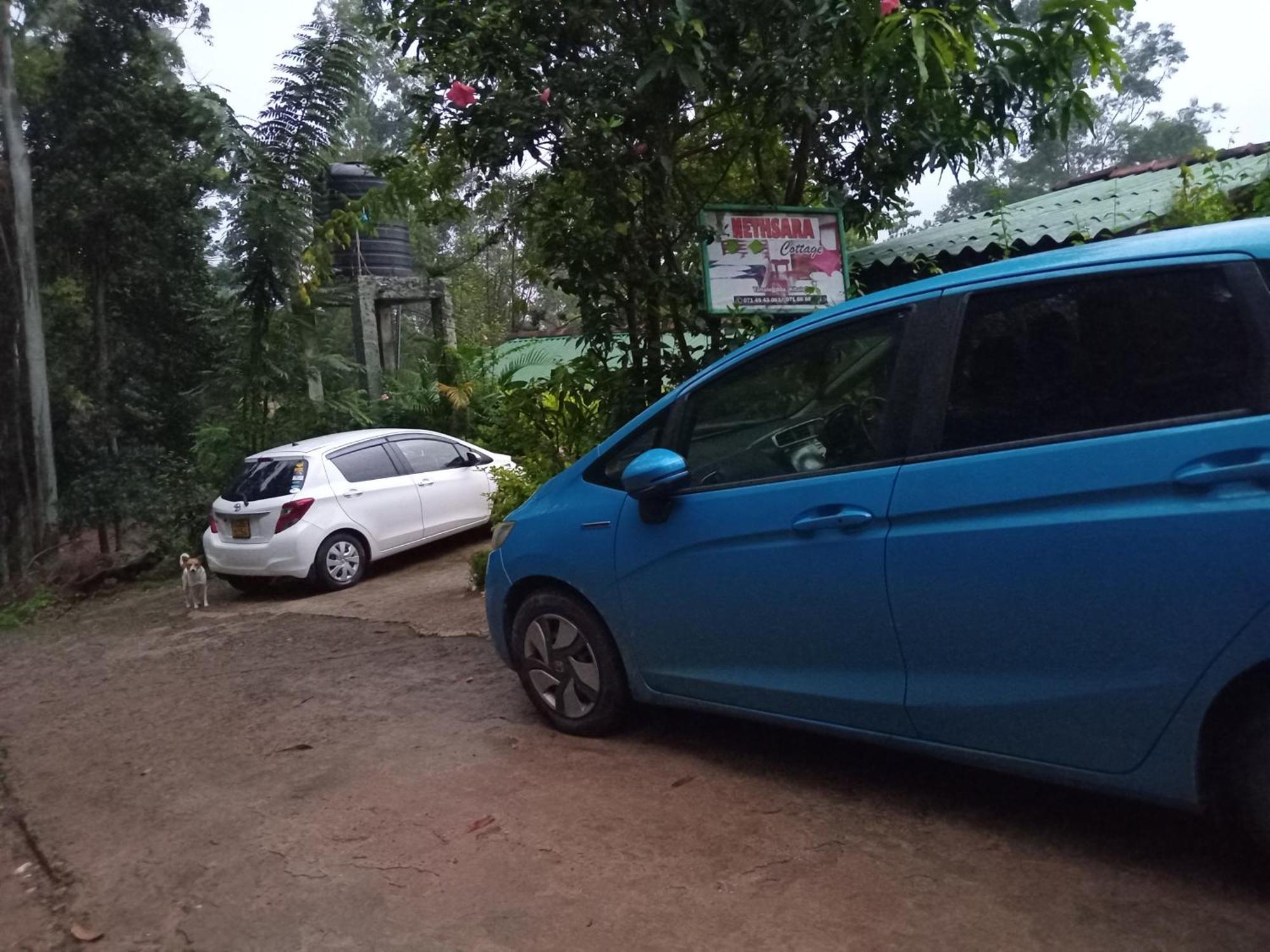 Nethsara Lodge *