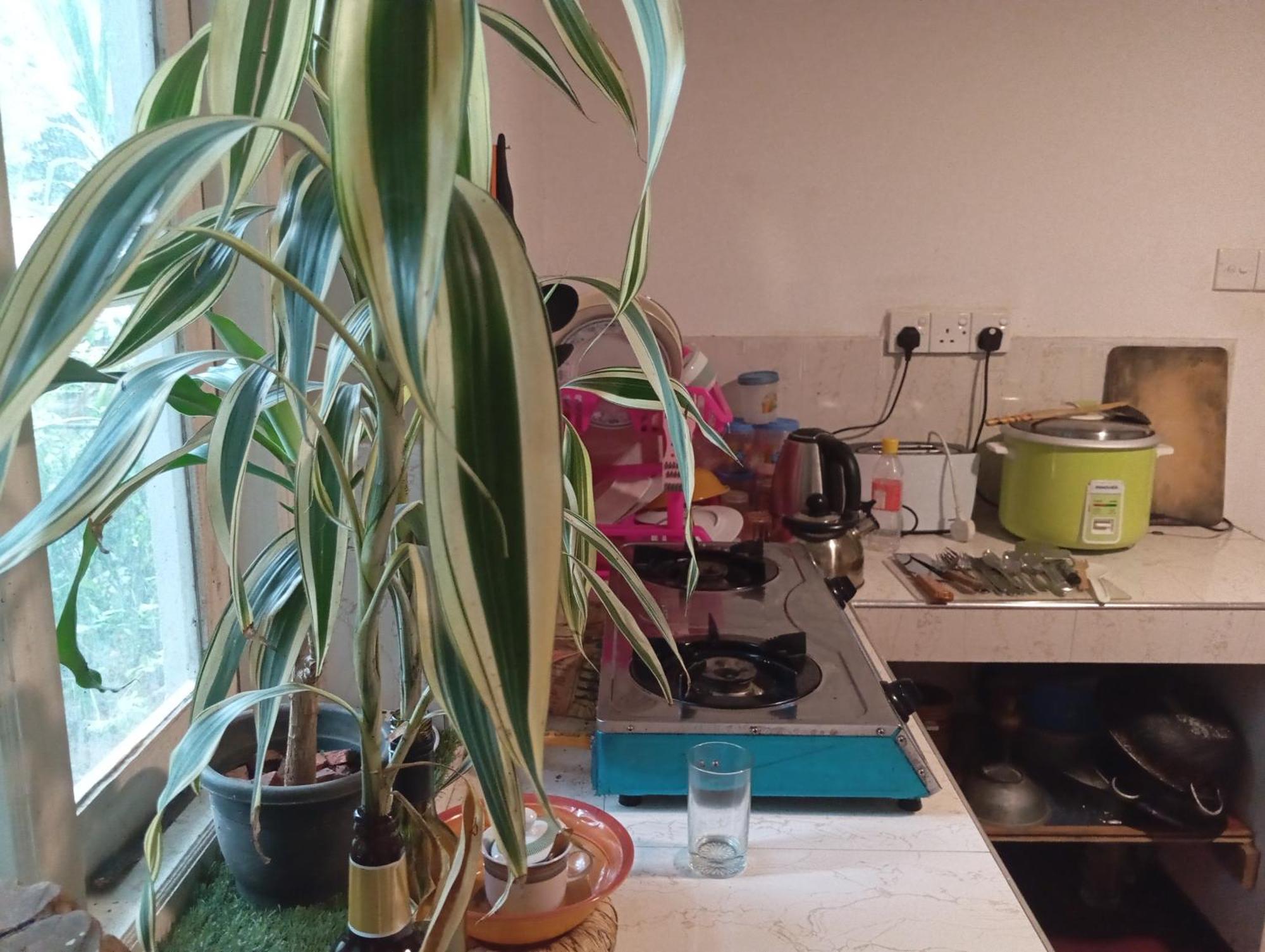 Apartment Relax
