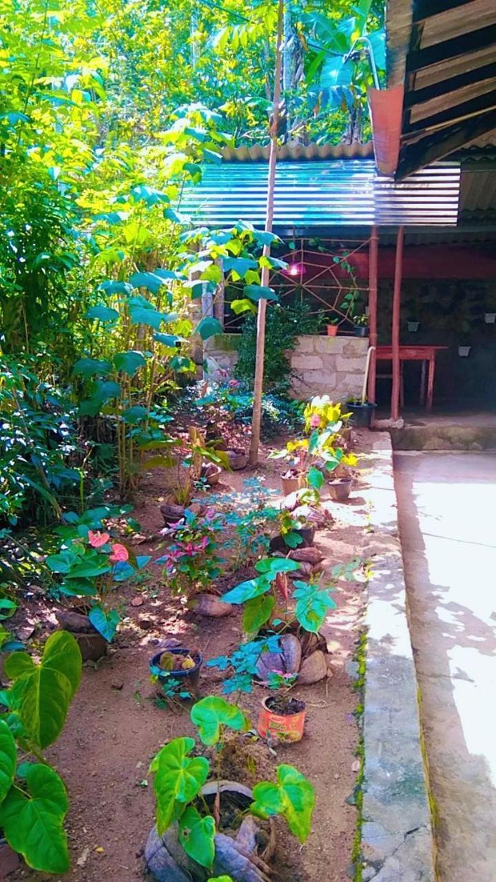 Hostel Kumi