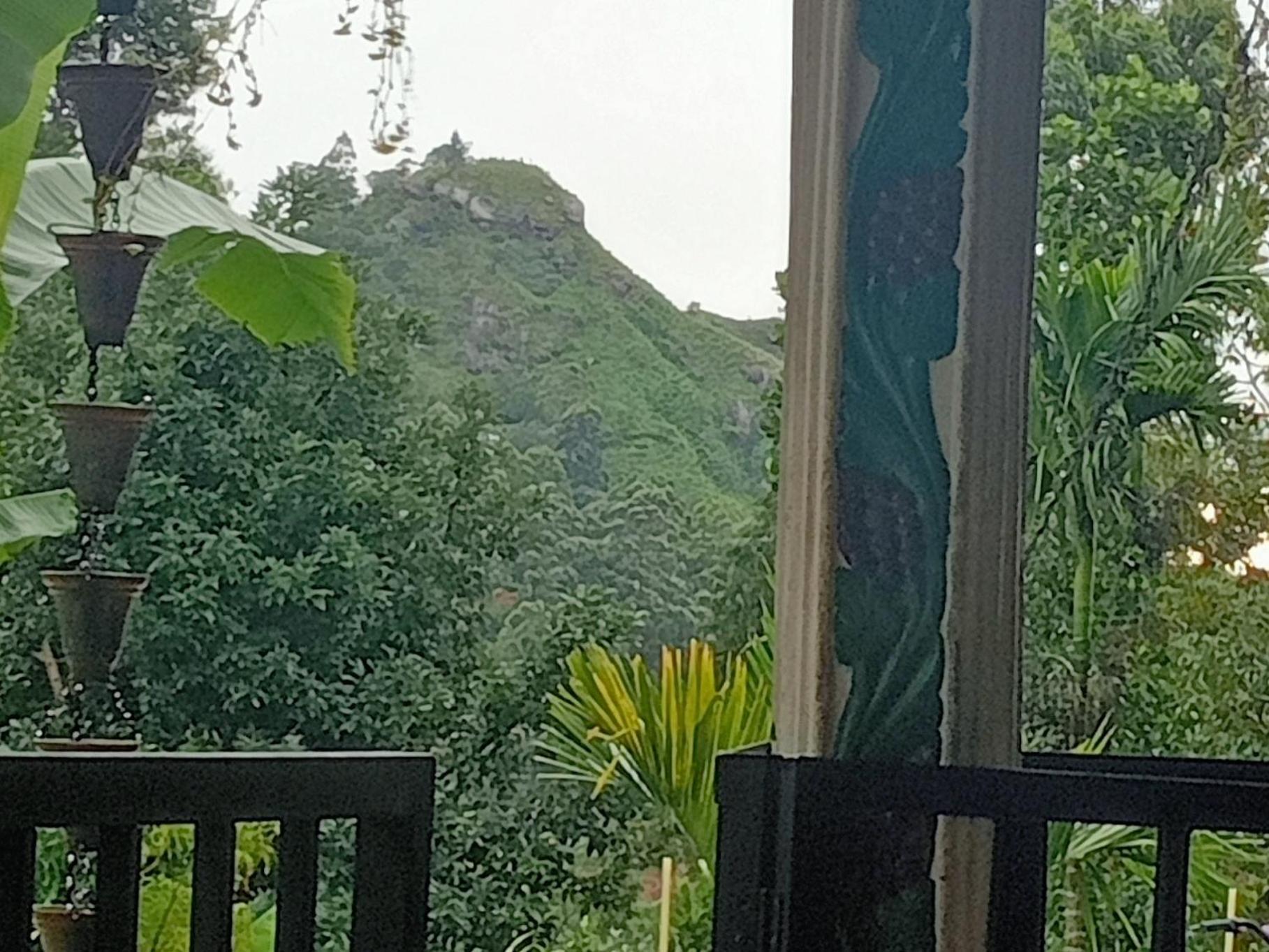 Littleadems View