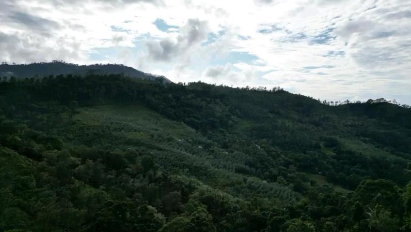 Nature's Rest *