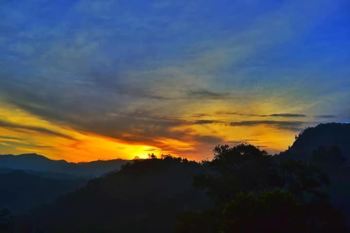 Elegant Hill Homestay *