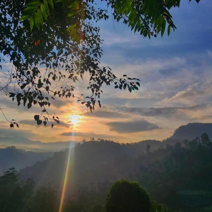 Elegant Hill