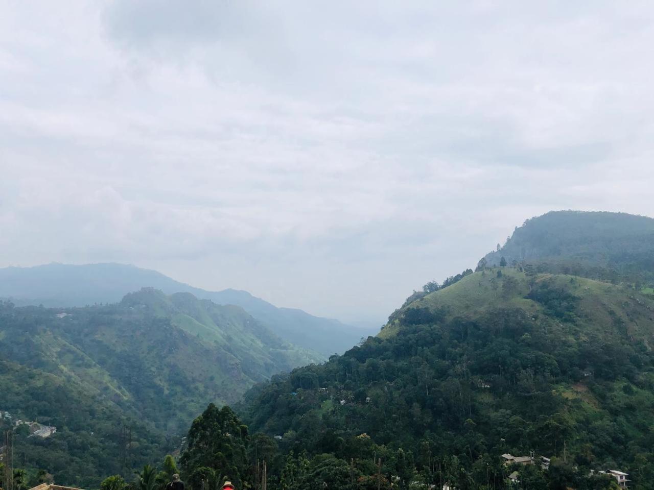 Elegant Hill Homestay *
