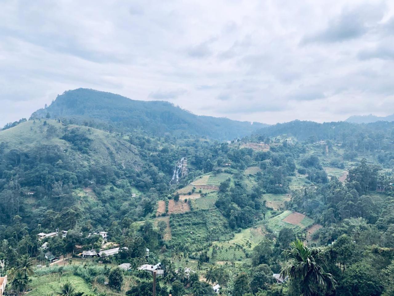 Elegant Hill Homestay *