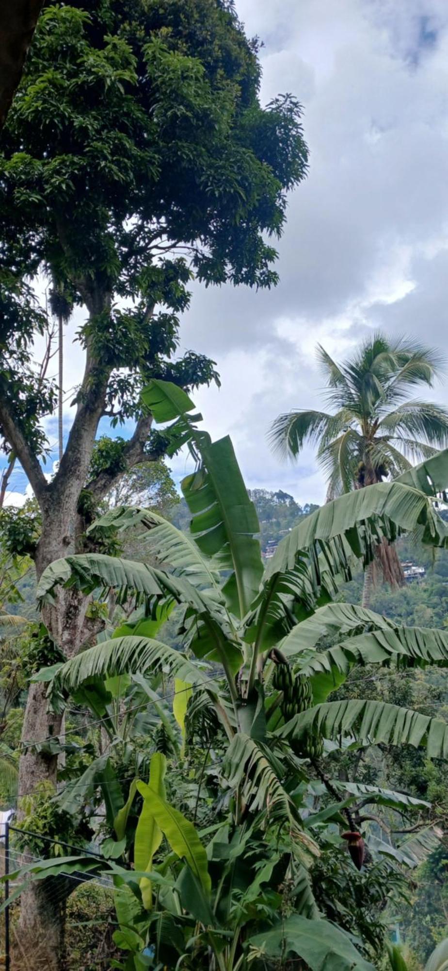 Rawana Rock Road