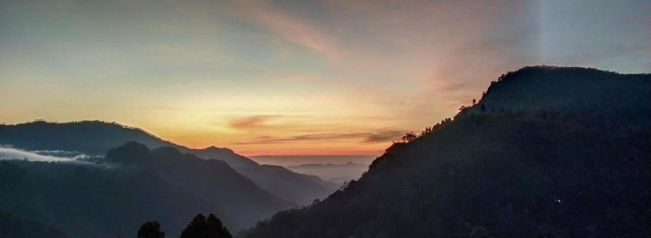 New Nature View *
