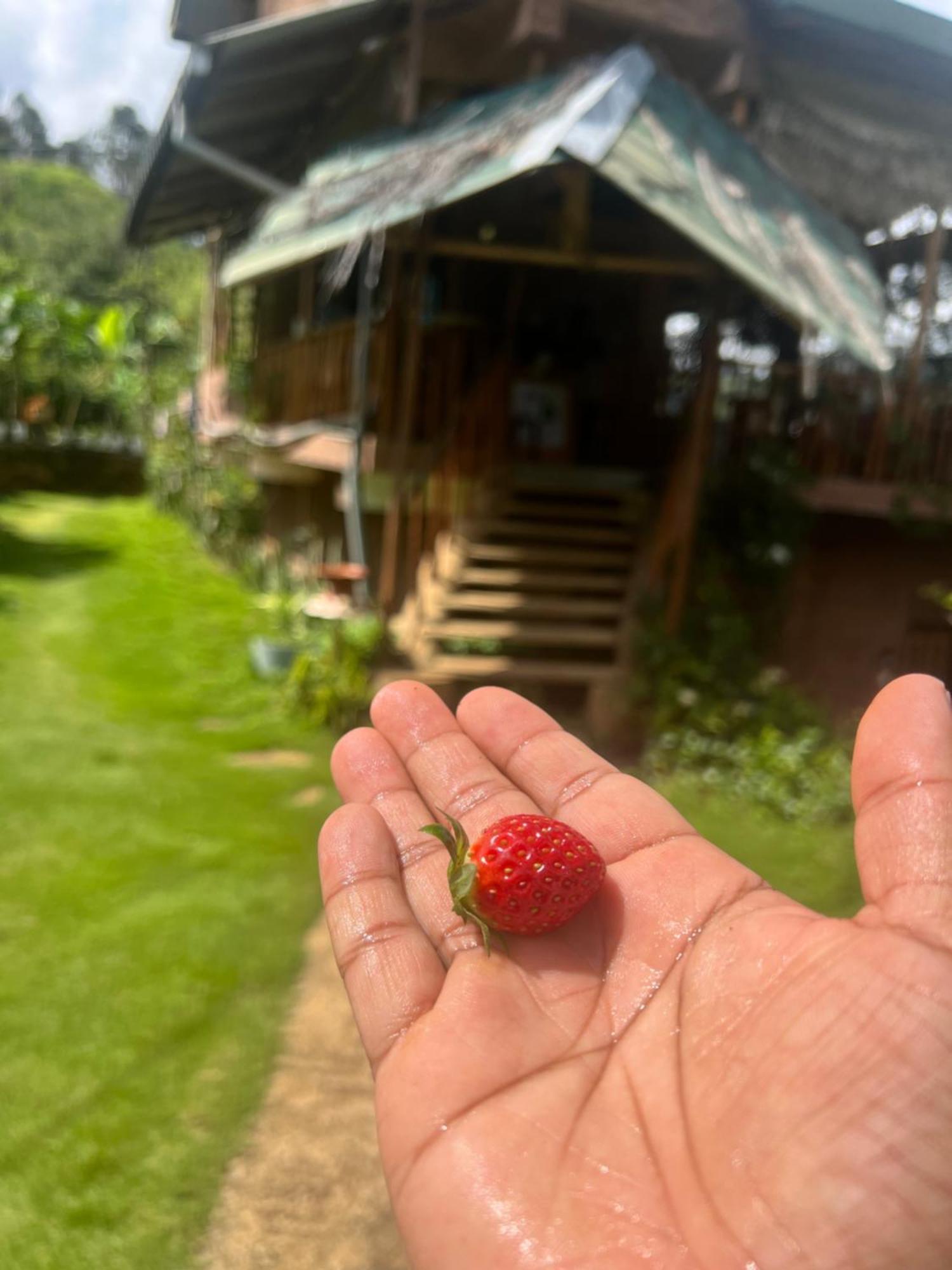 Rock Grun Lodge