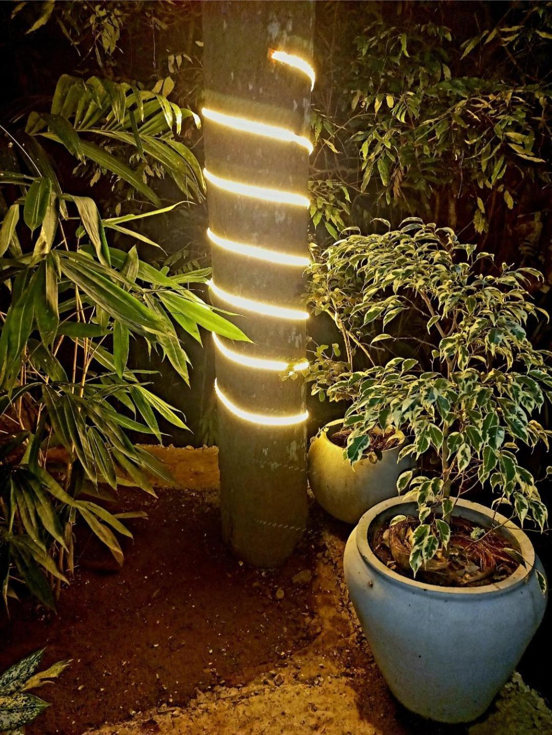 Lodge The Jungle *