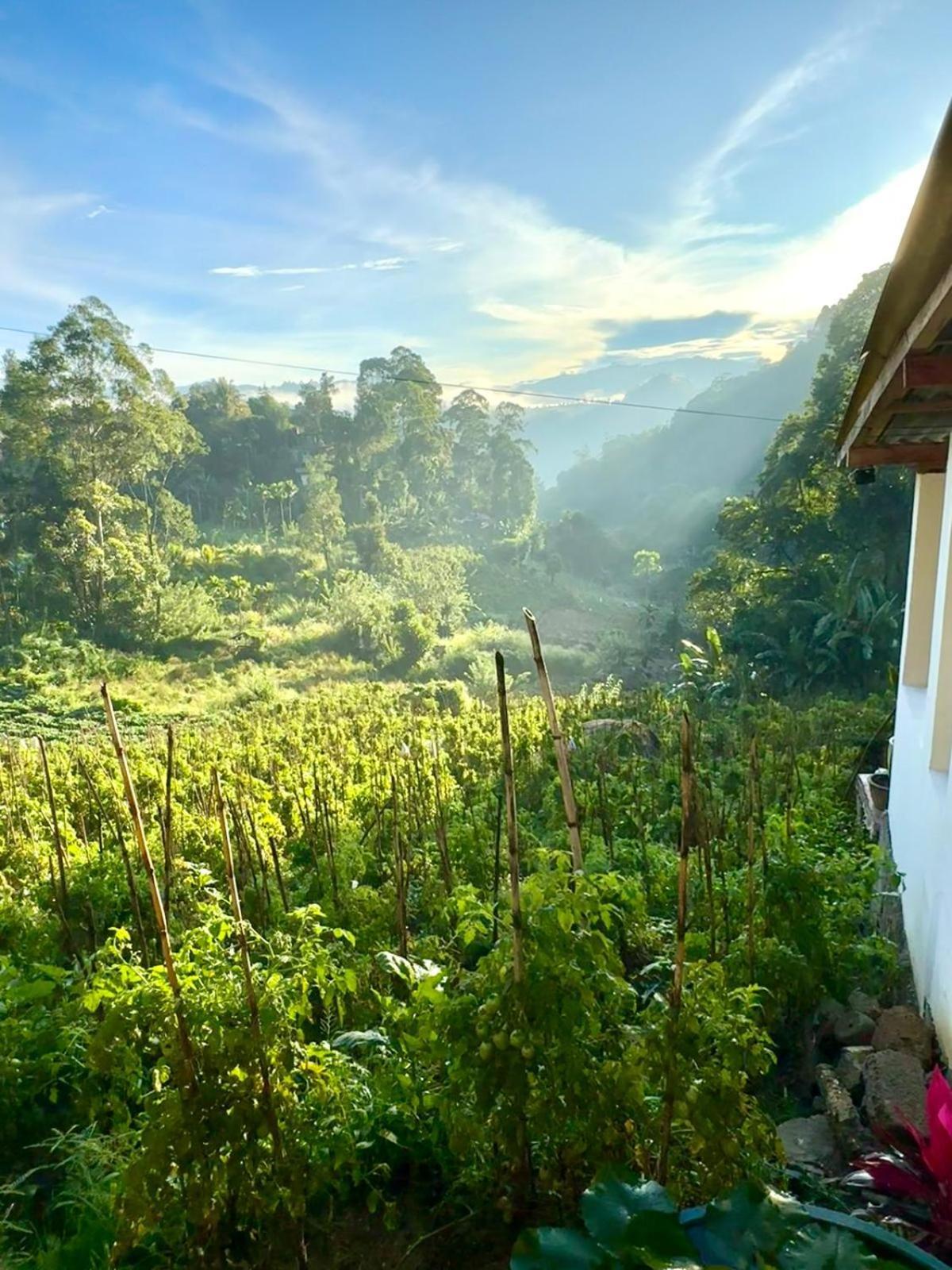 New Farmers Paradise Homestay