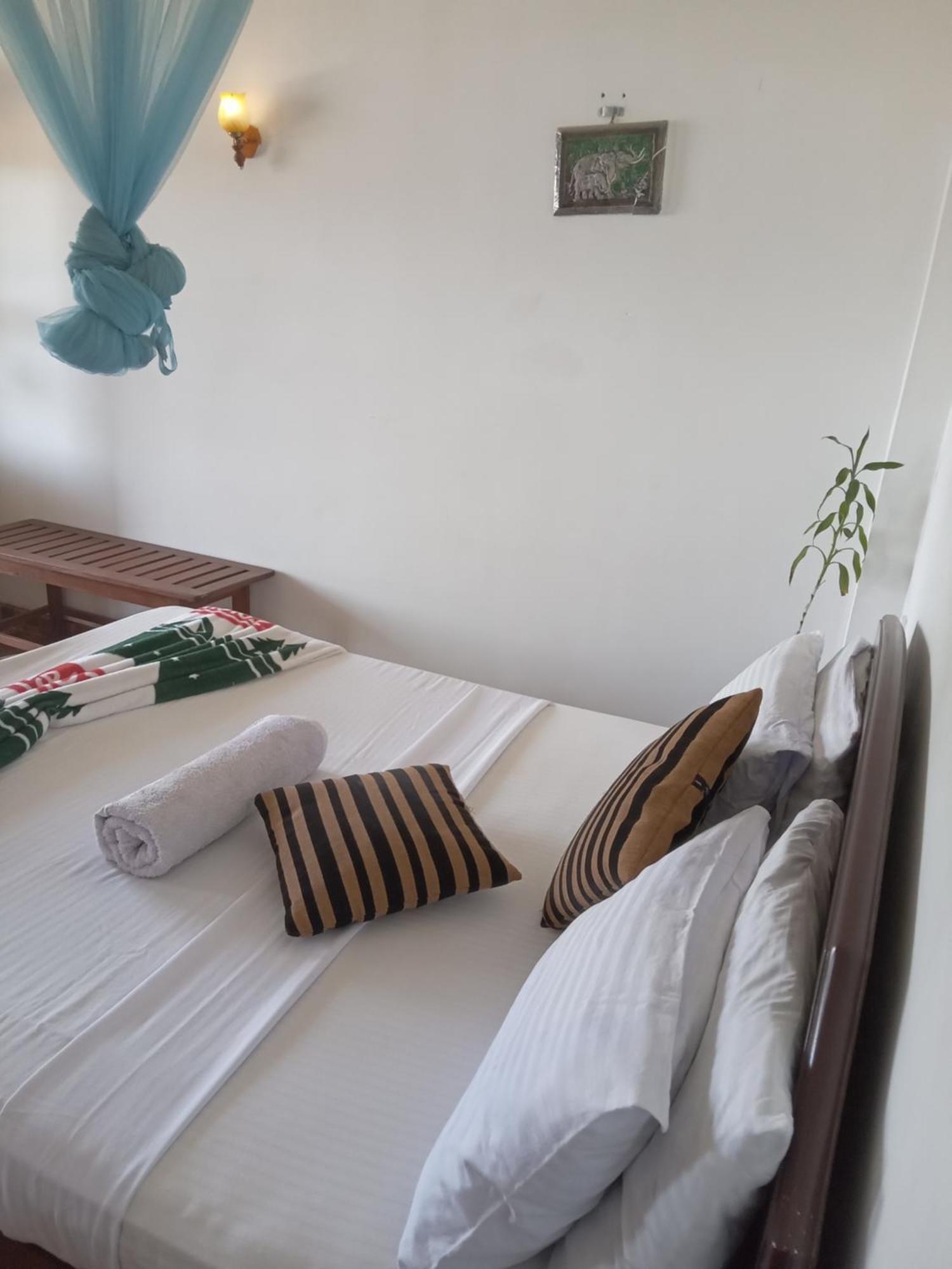 Elegant Hill Homestay *