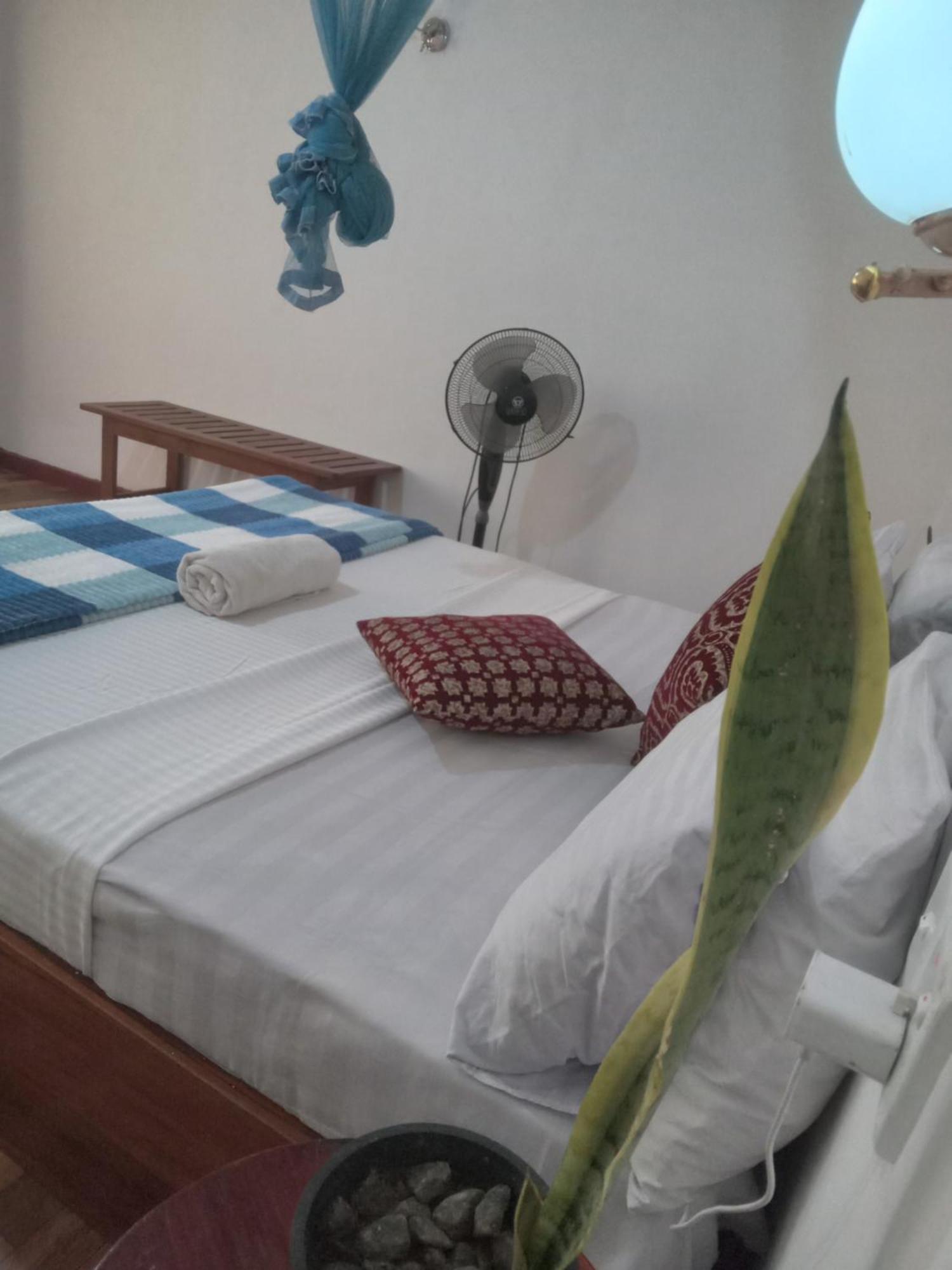 Homestay Elegant Hill *