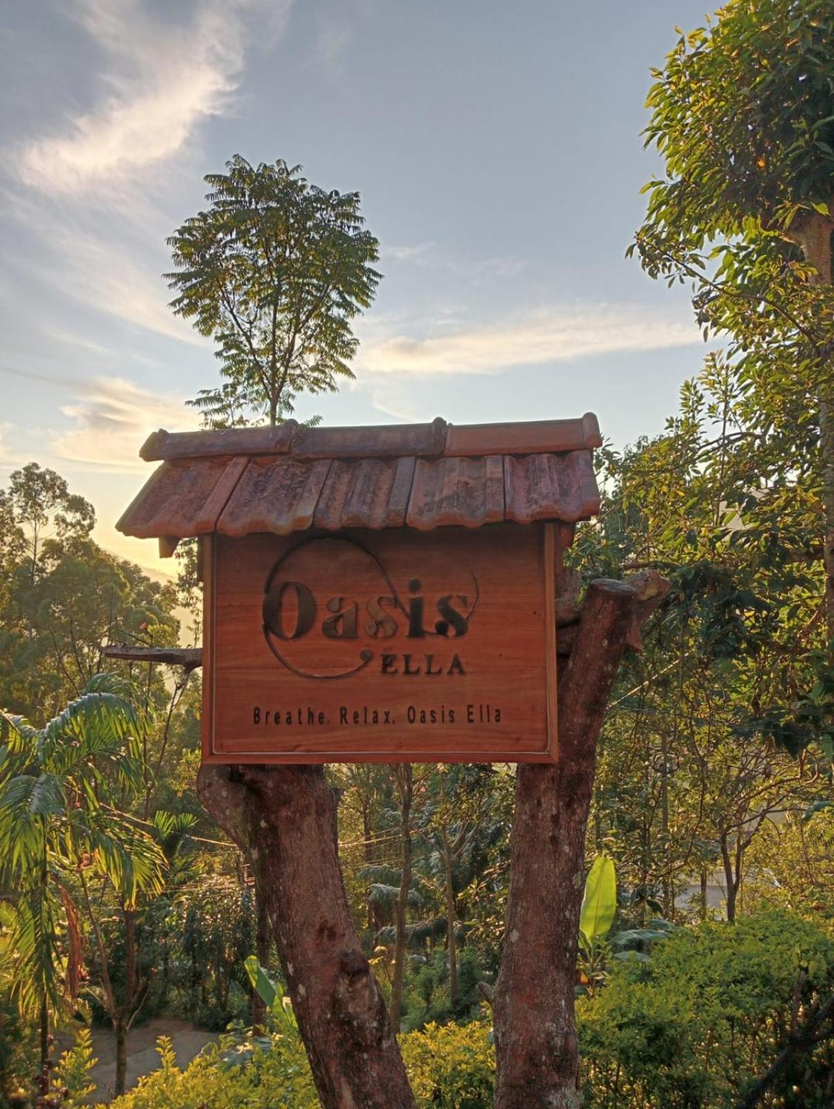 Oasis Bed & Breakfast