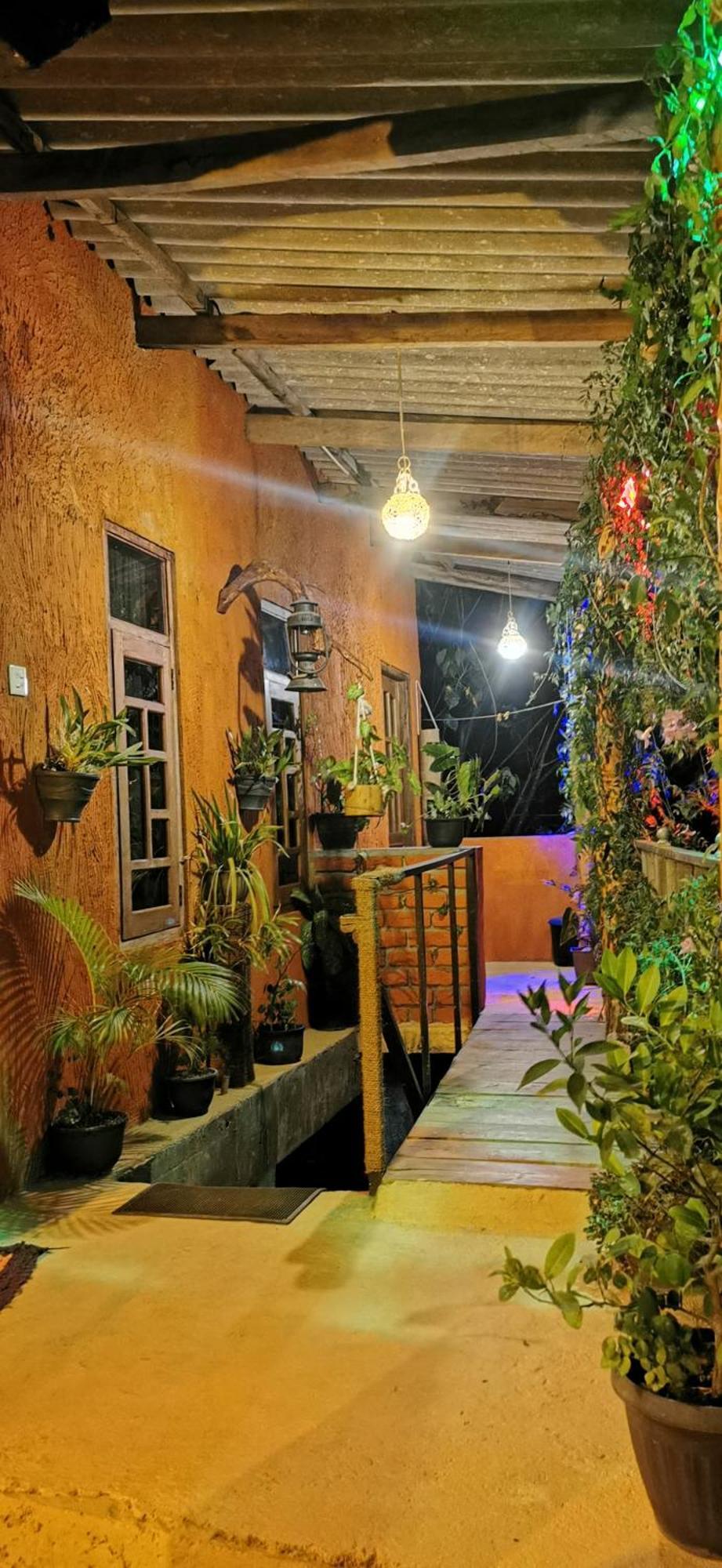Tree House *