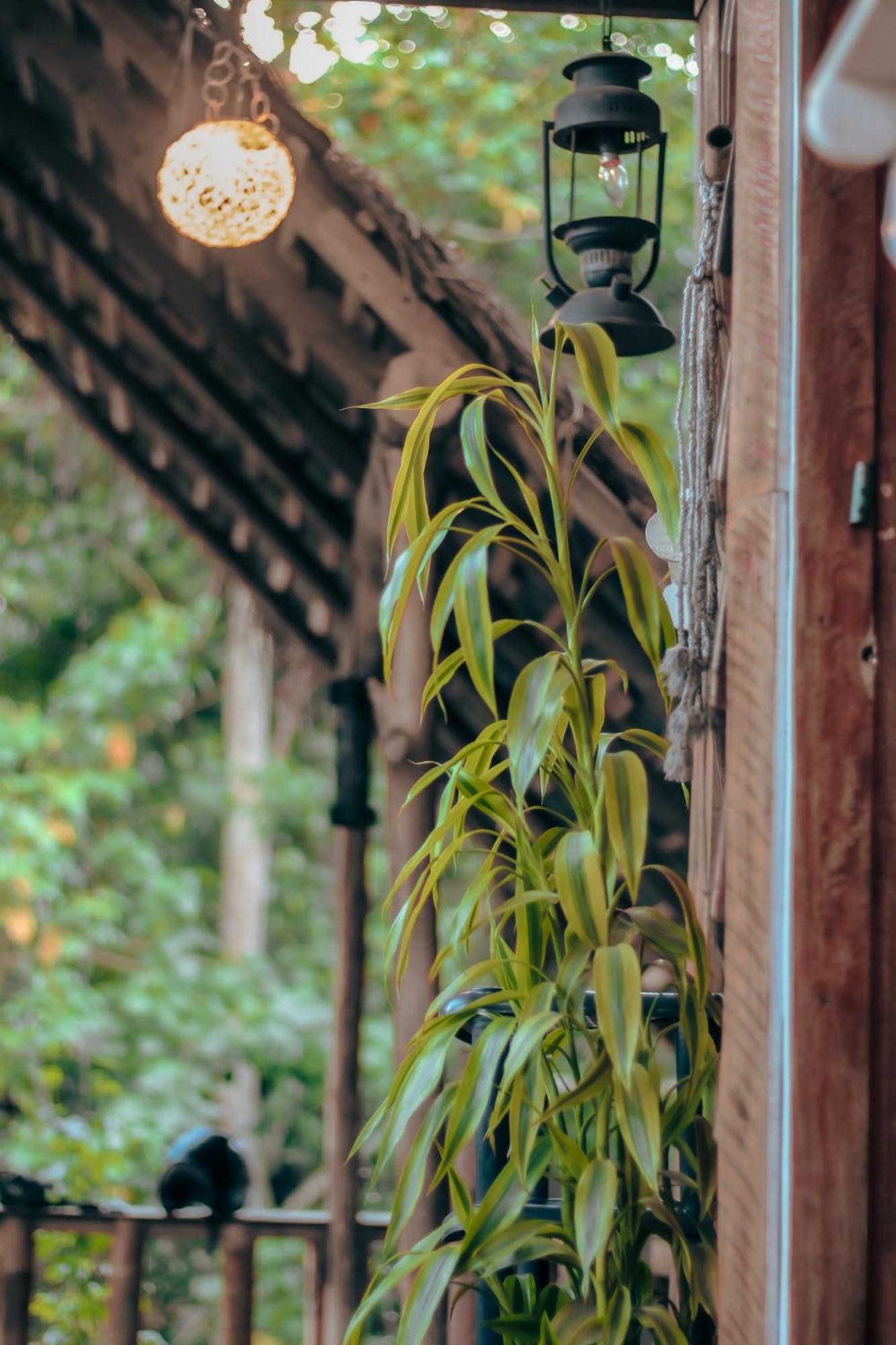 Tree House